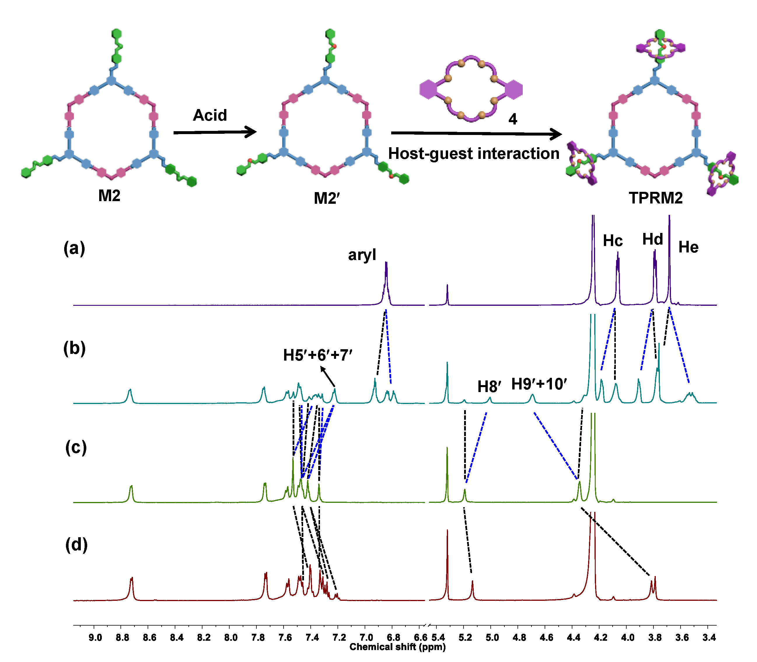 Molecules 26 00716 g004