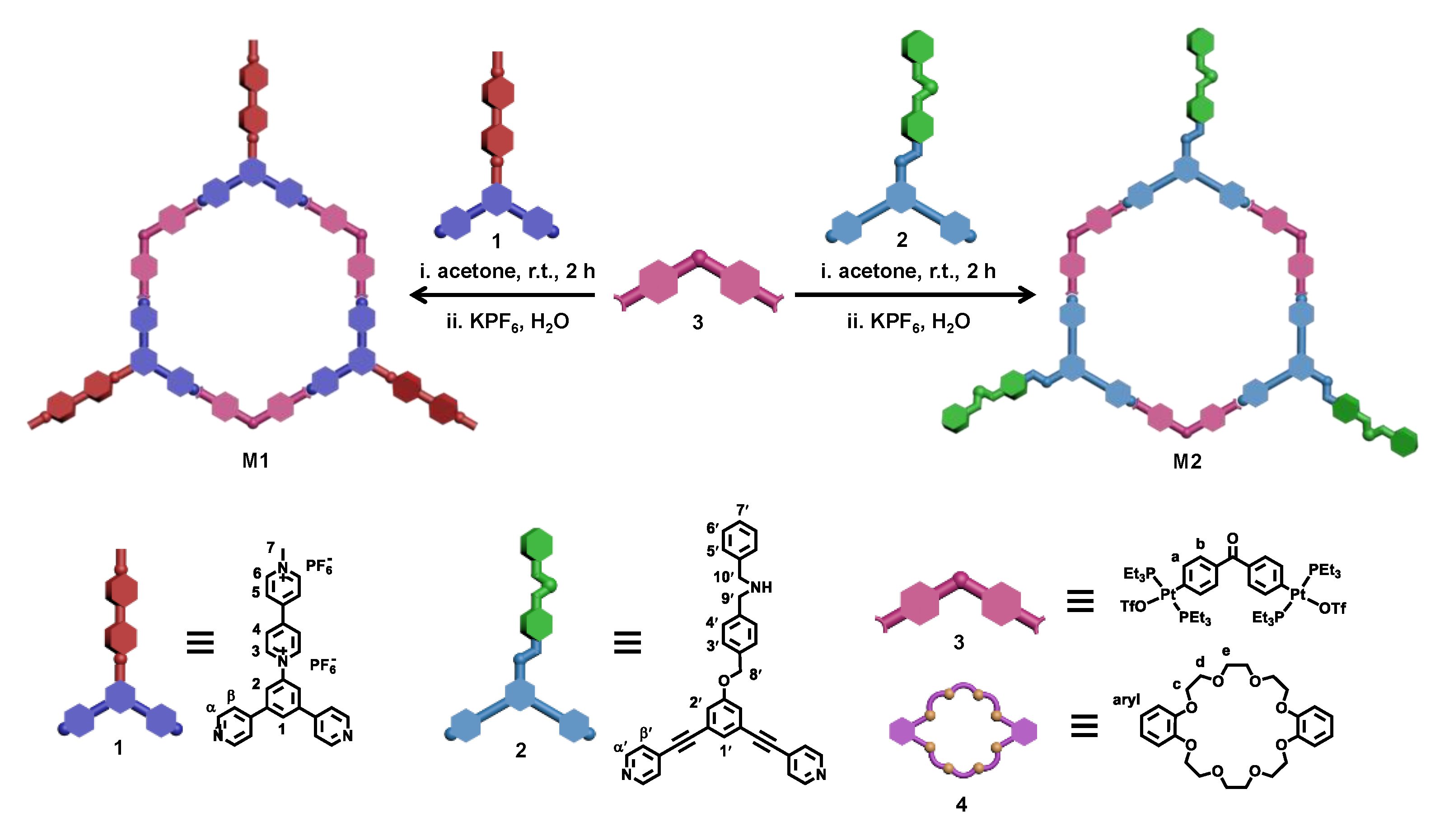 Molecules 26 00716 sch001