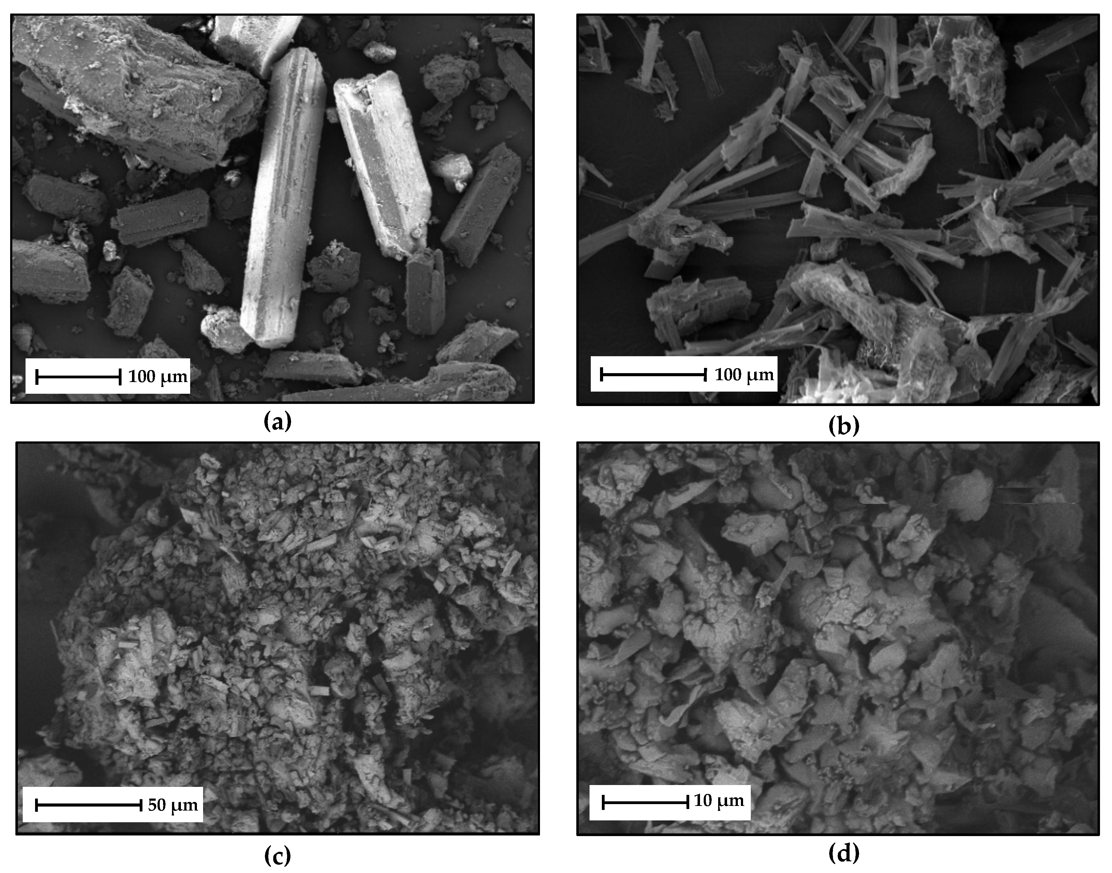 Molecules 26 00720 g010