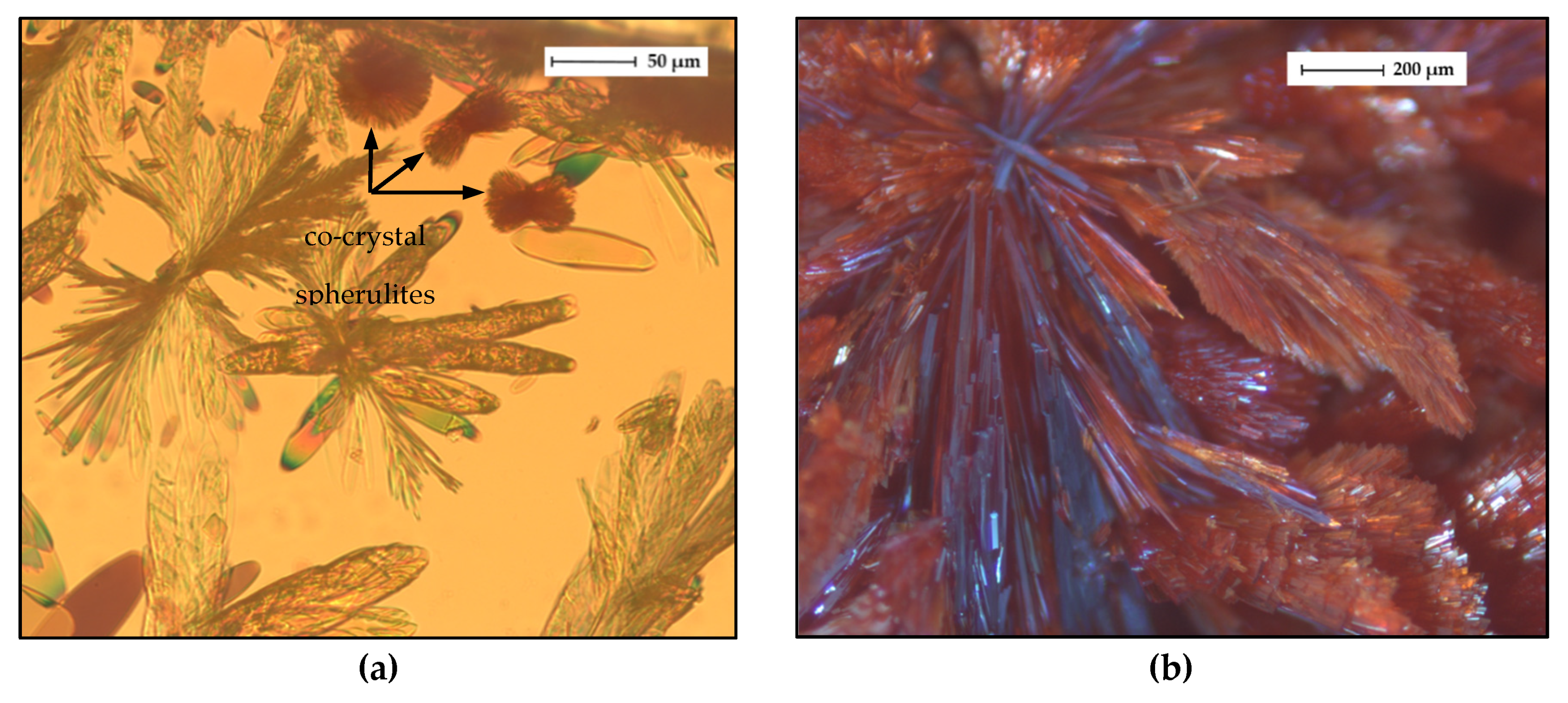 Molecules 26 00720 g014