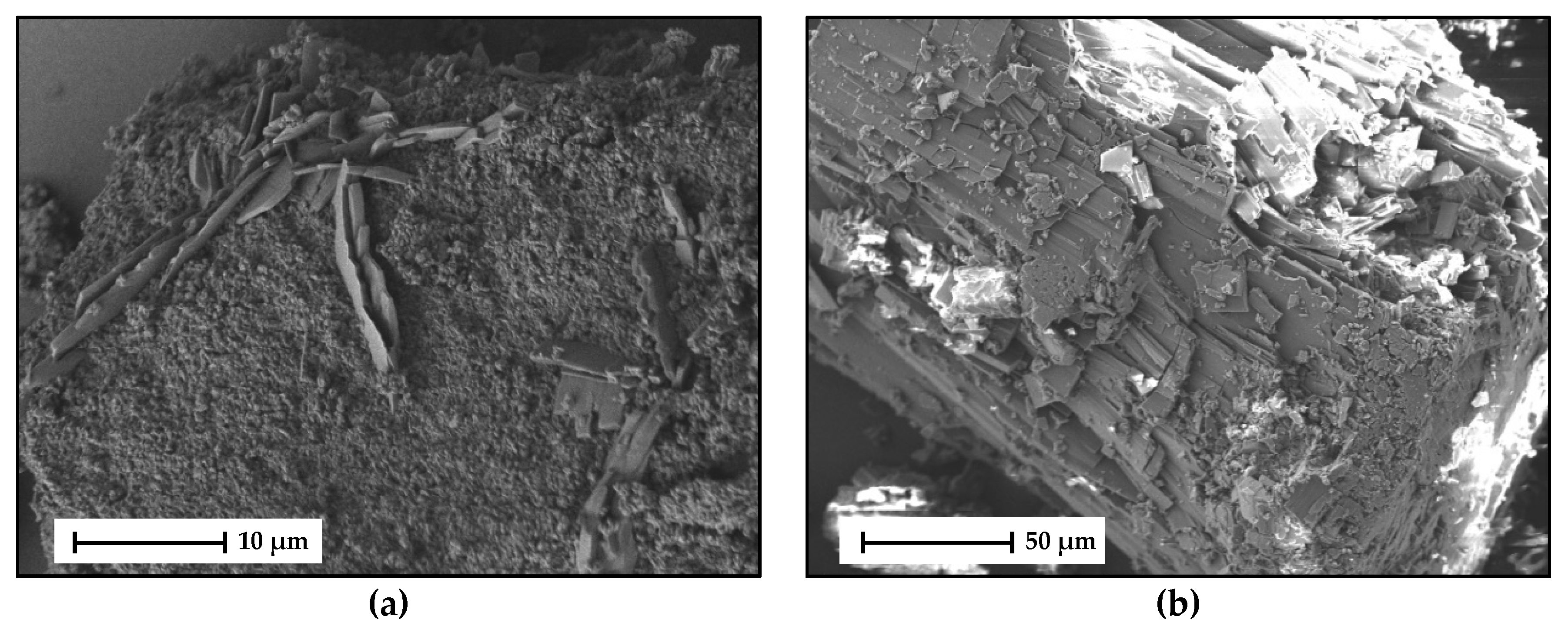 Molecules 26 00720 g015