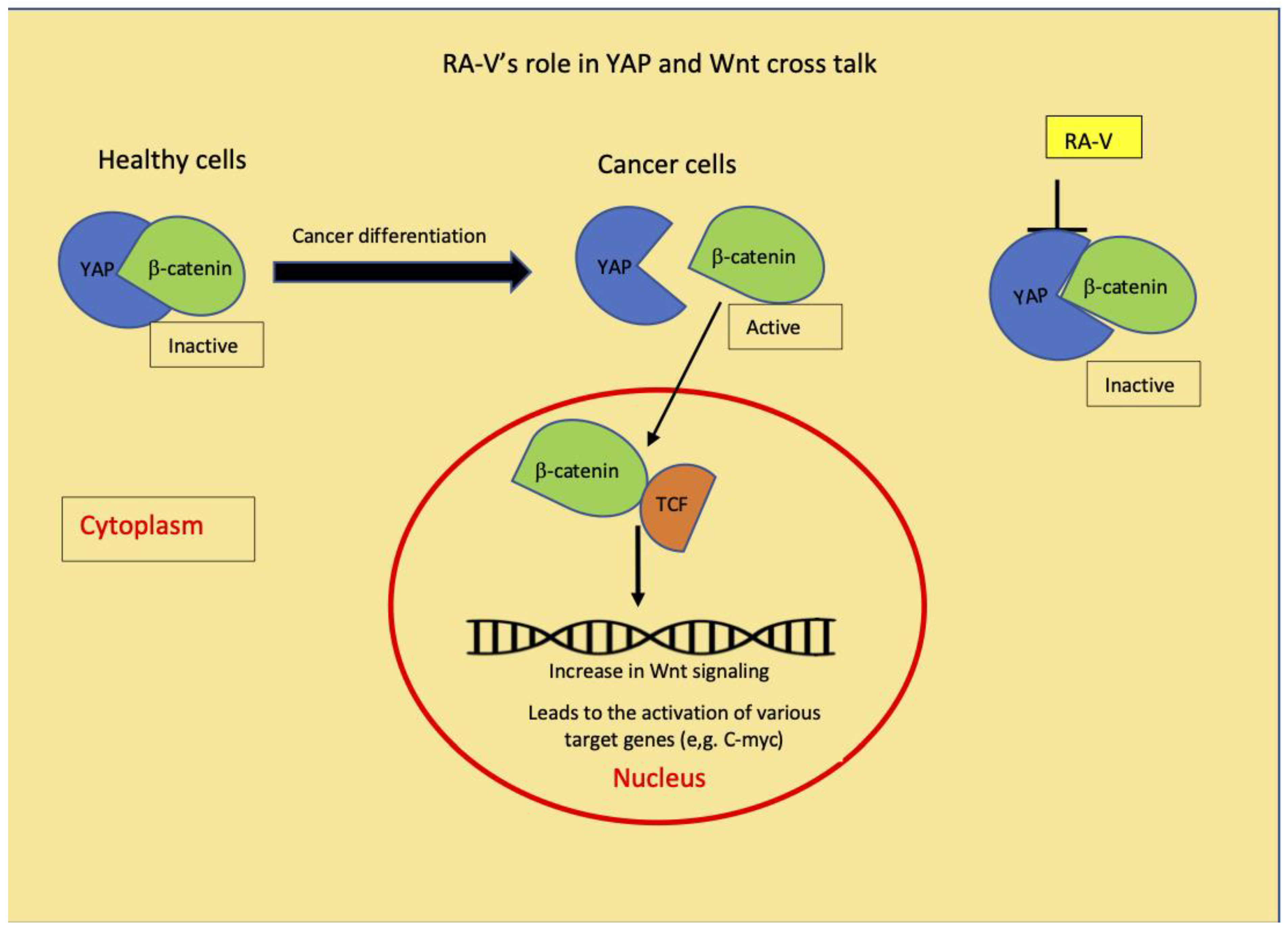 Molecules 26 00735 g002 Molecules 26 00735 g002