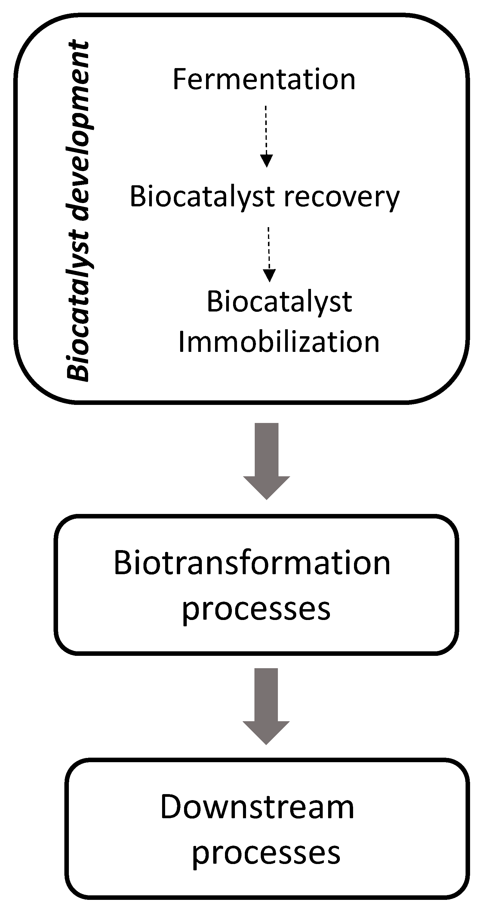 Molecules 26 00736 g001