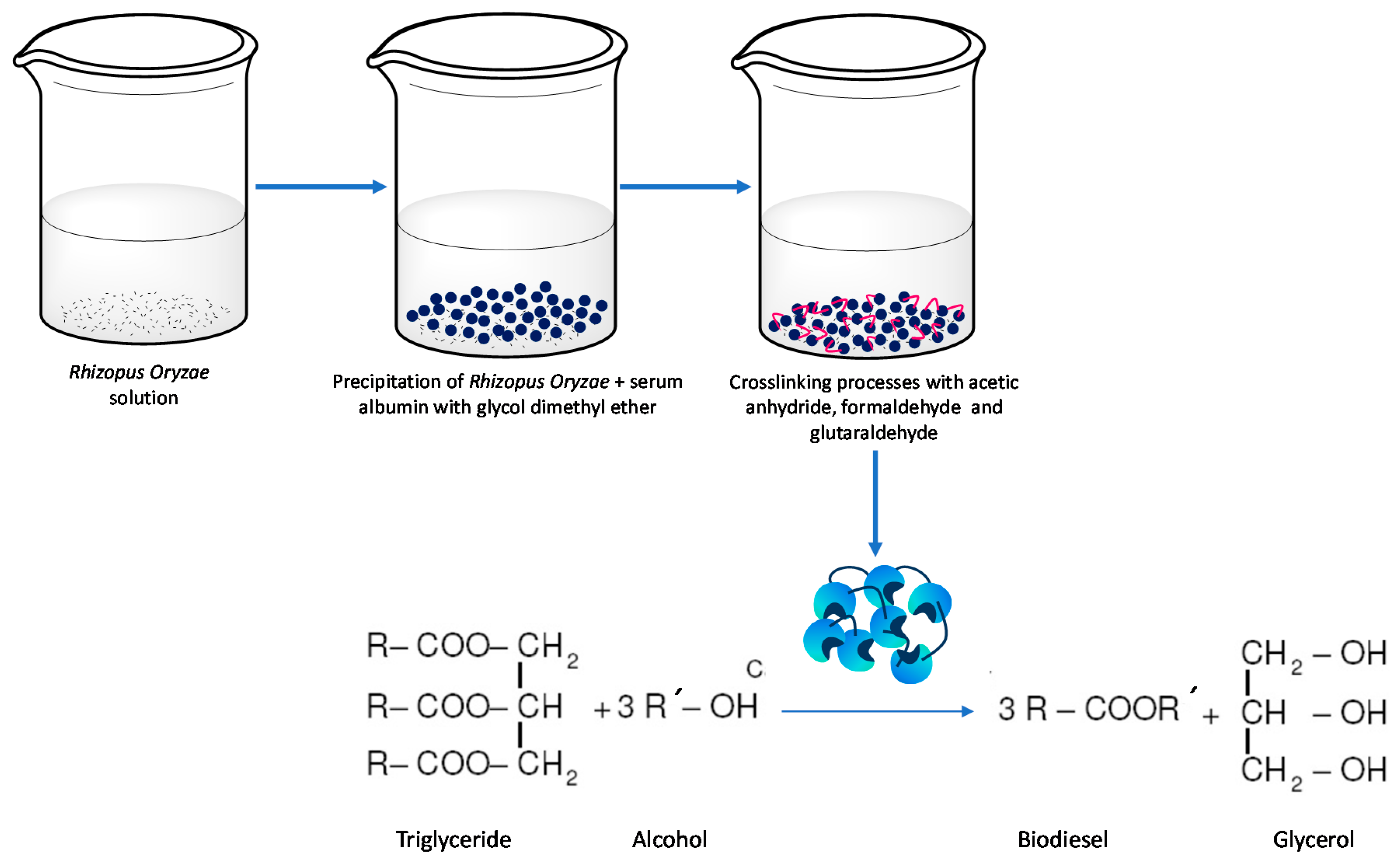Molecules 26 00736 g002