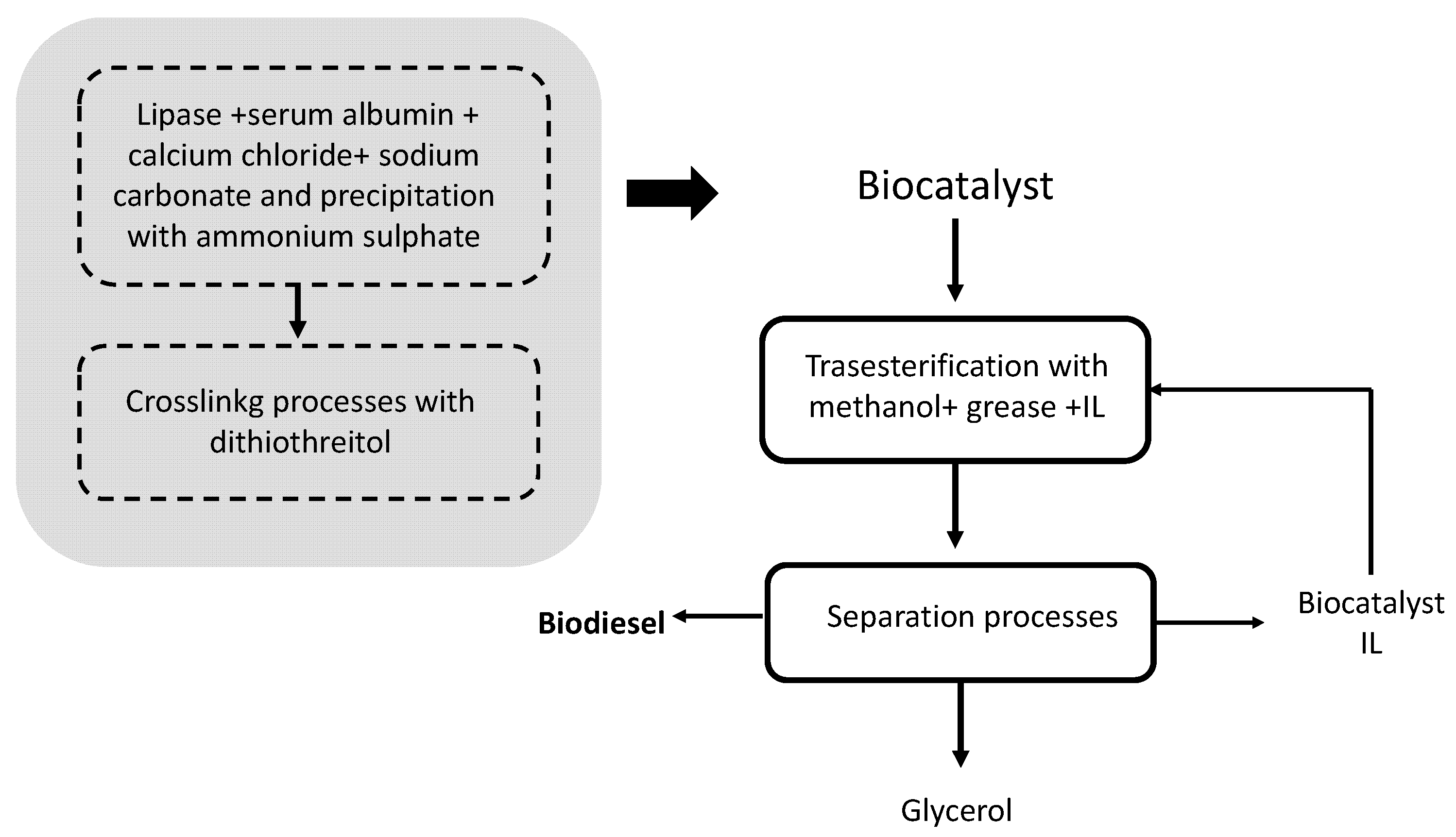 Molecules 26 00736 g003