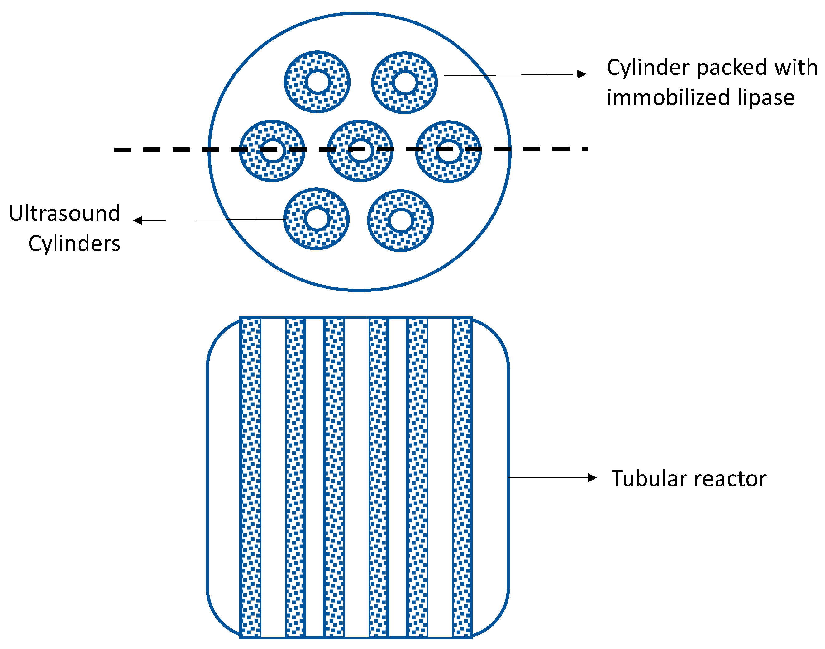 Molecules 26 00736 g004