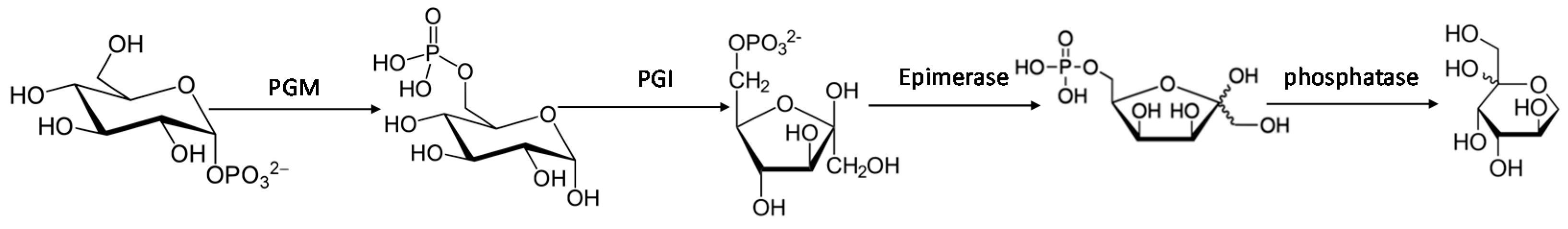 Molecules 26 00736 g005