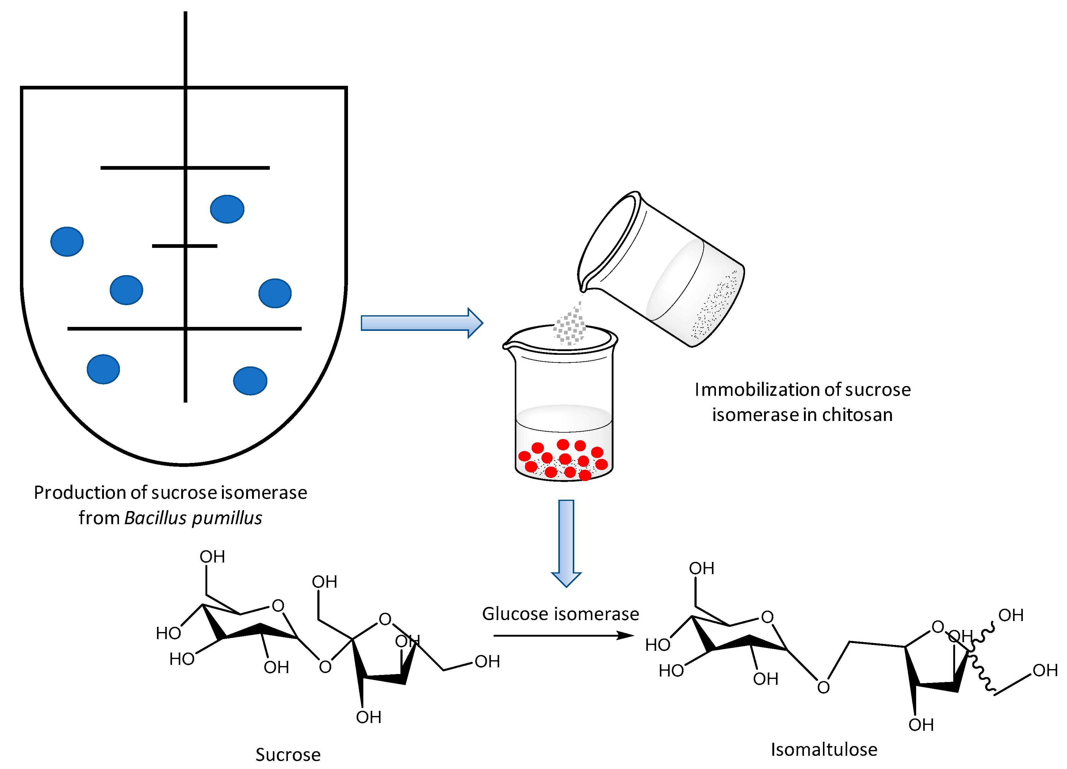 Molecules 26 00736 g007