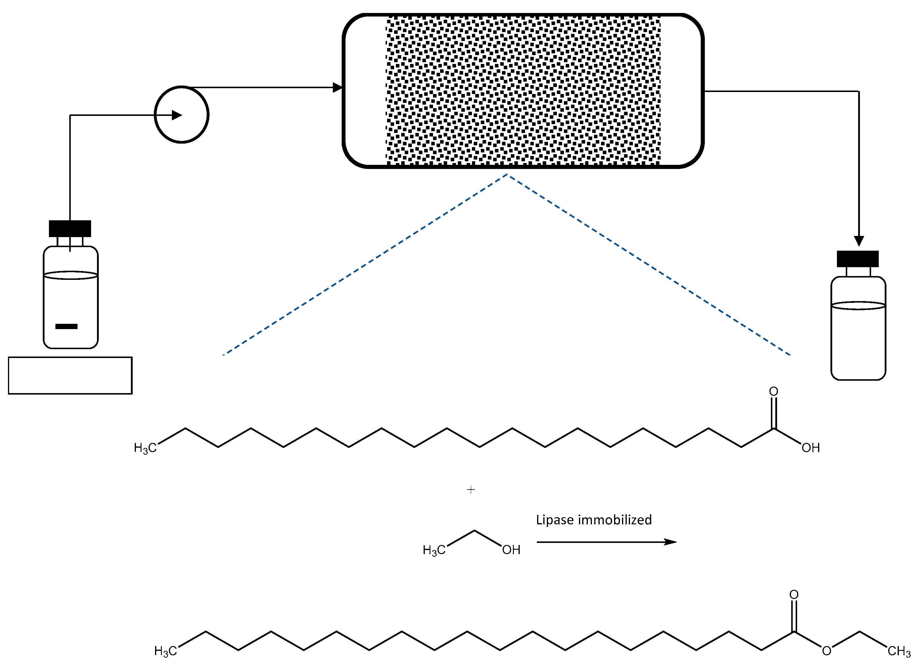 Molecules 26 00736 g008