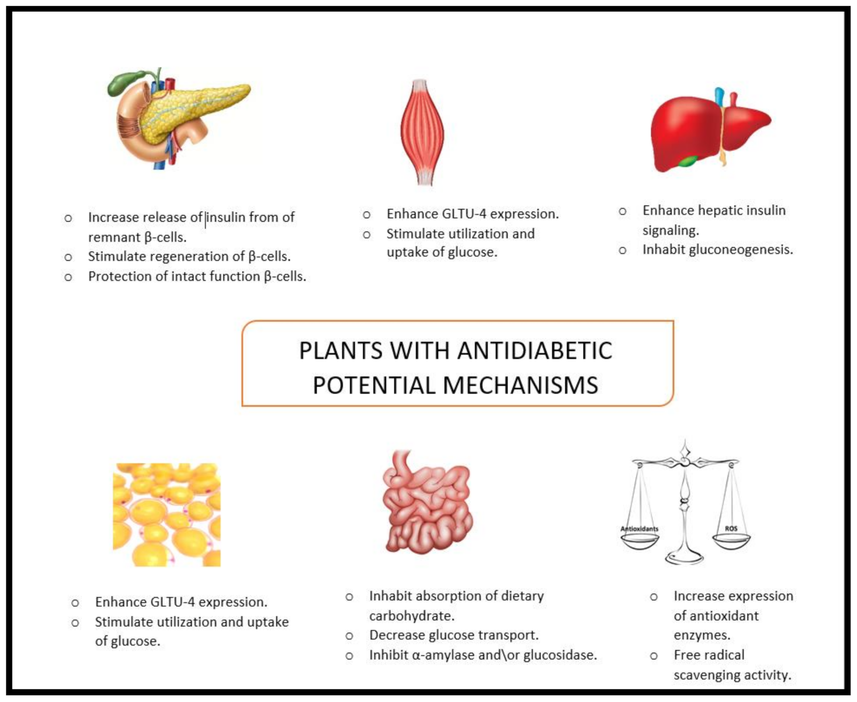 Molecules 26 00742 g005