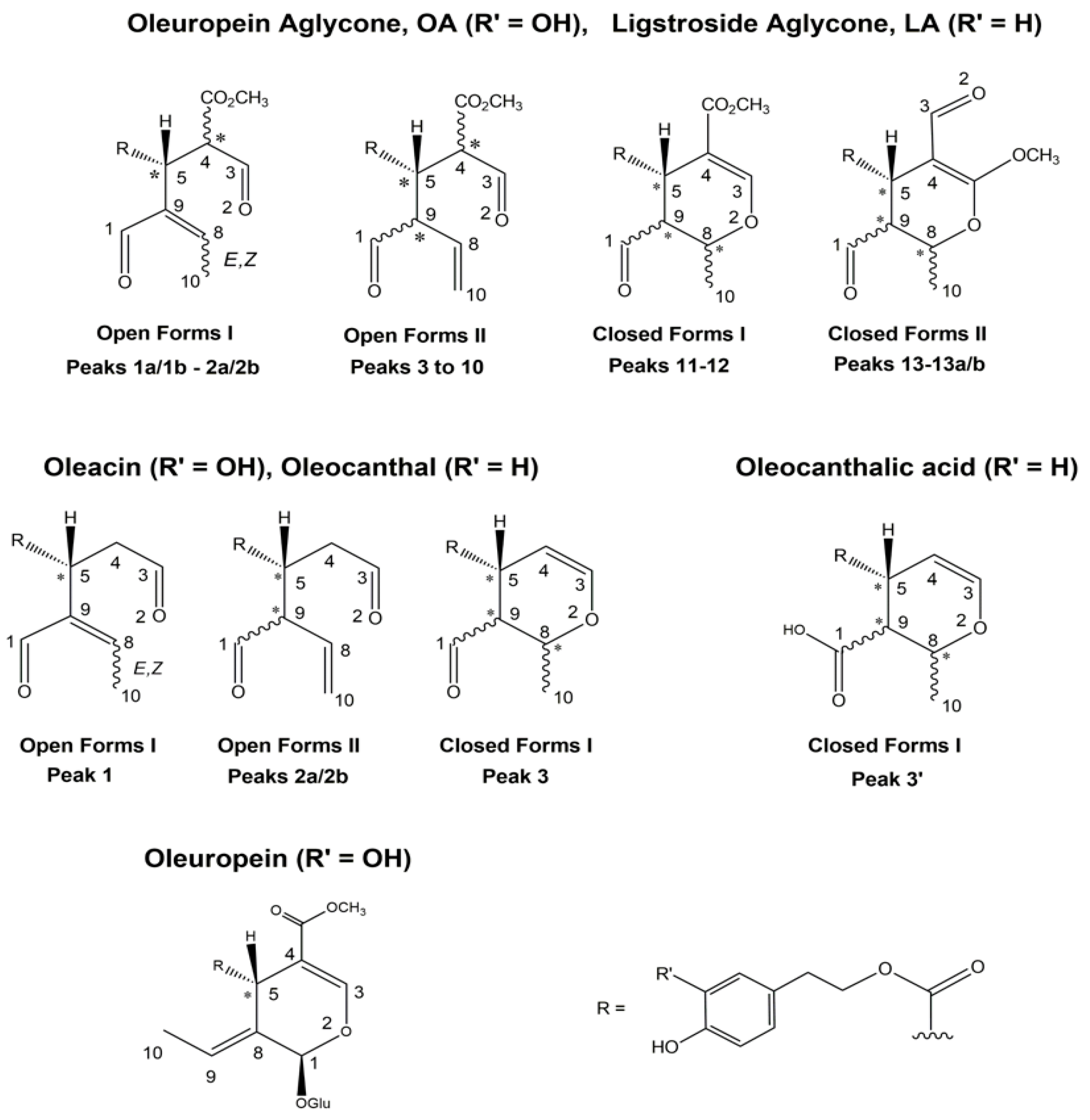 Molecules 26 00743 g003