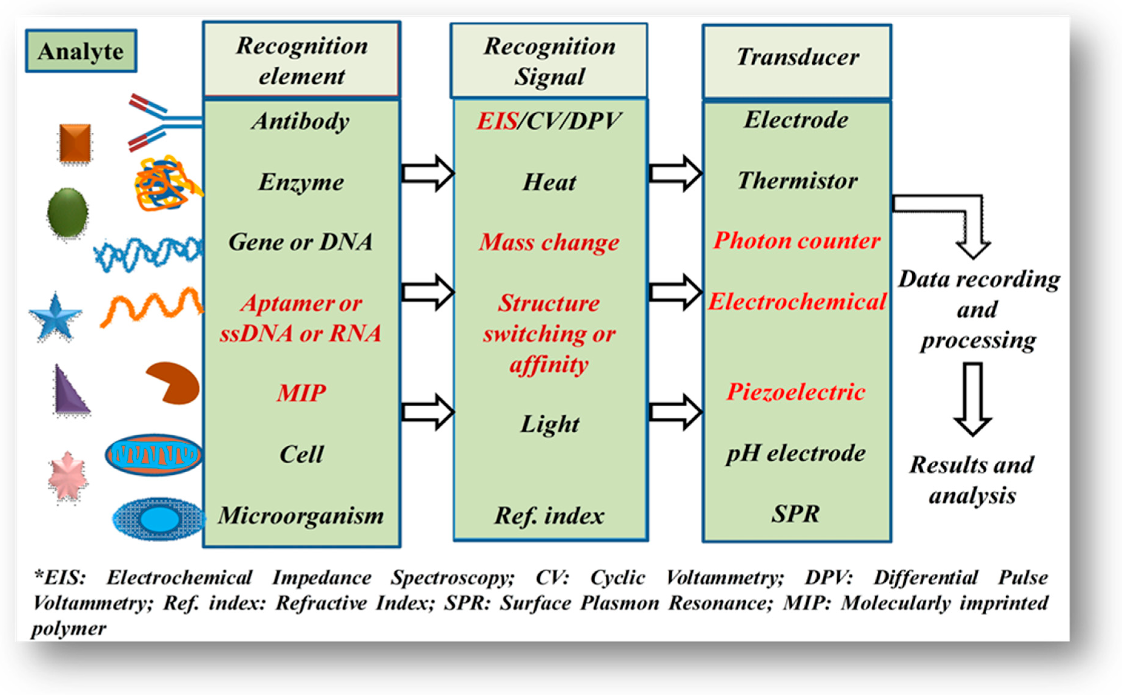 Molecules 26 00748 g001 Molecules 26 00748 g001