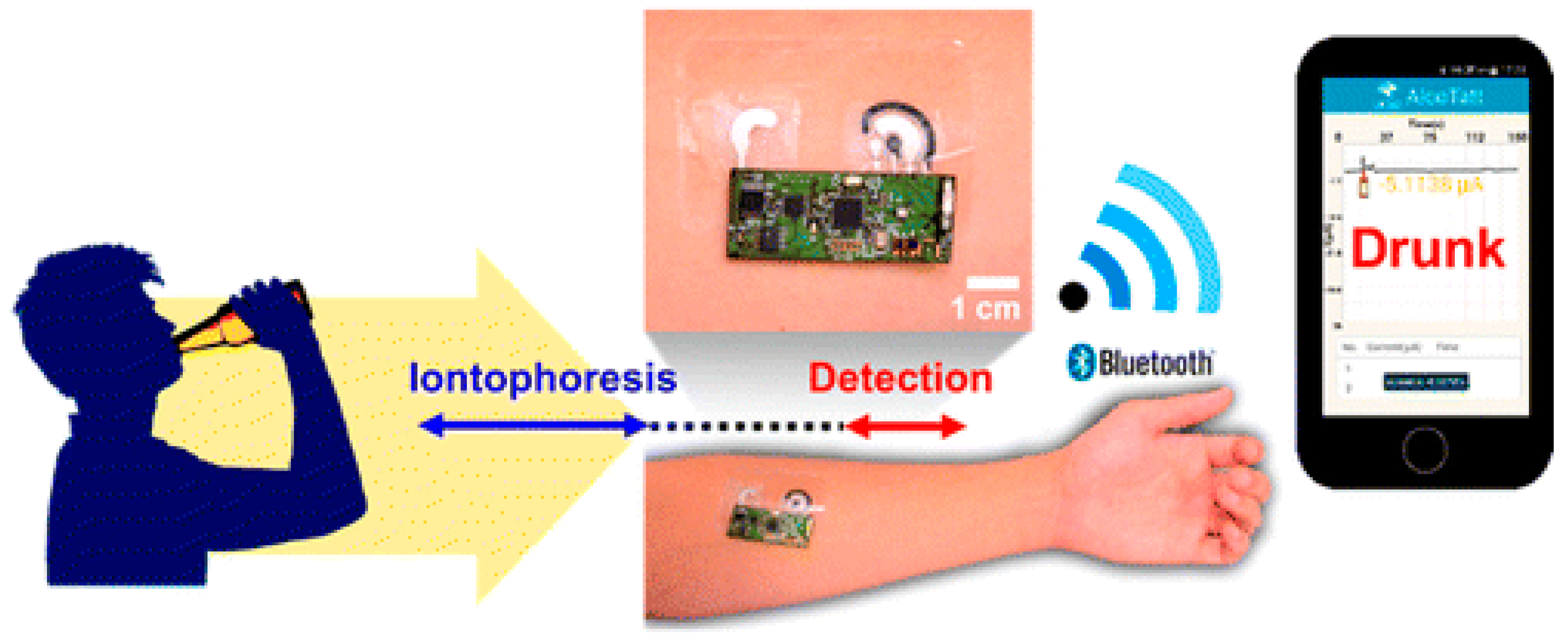 Molecules 26 00748 g006 Molecules 26 00748 g006