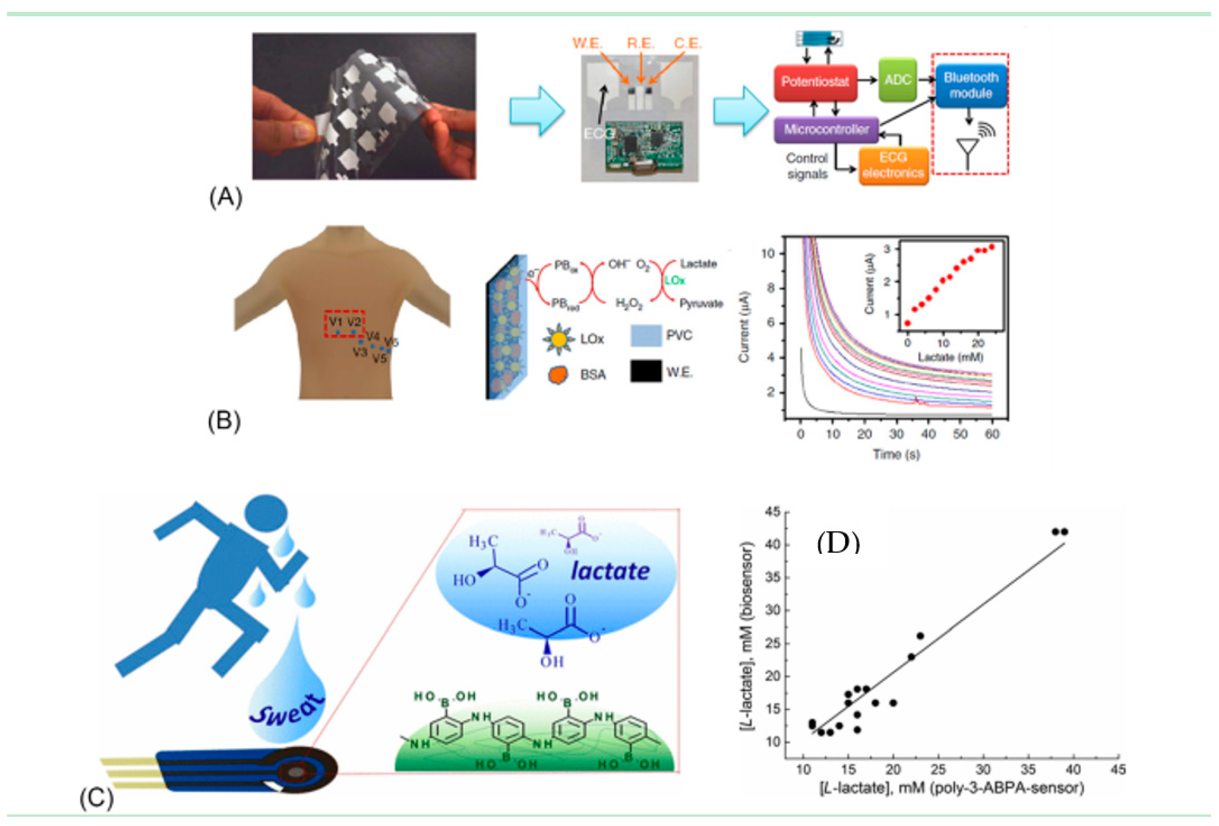 Molecules 26 00748 g007 Molecules 26 00748 g007