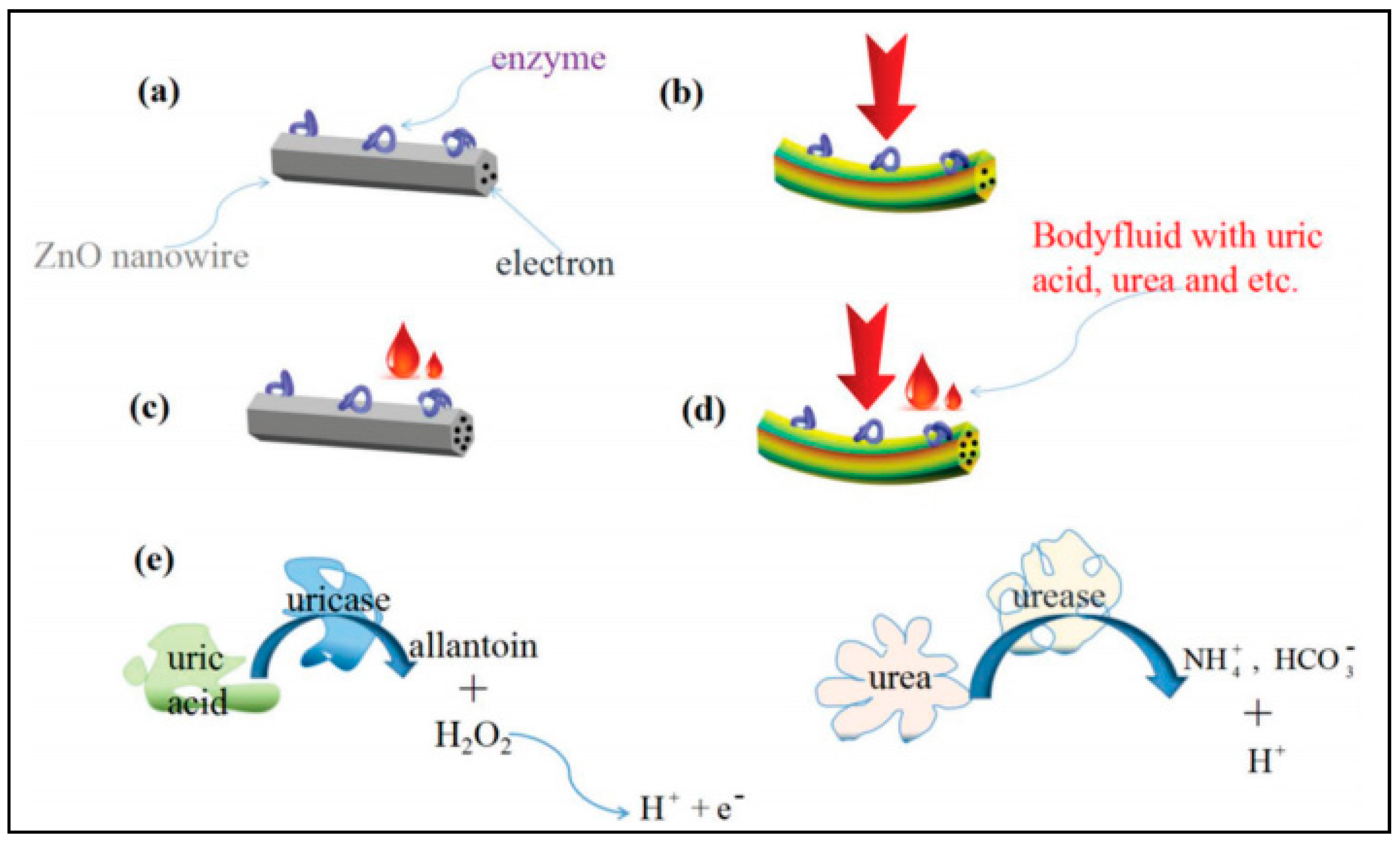 Molecules 26 00748 g008 Molecules 26 00748 g008