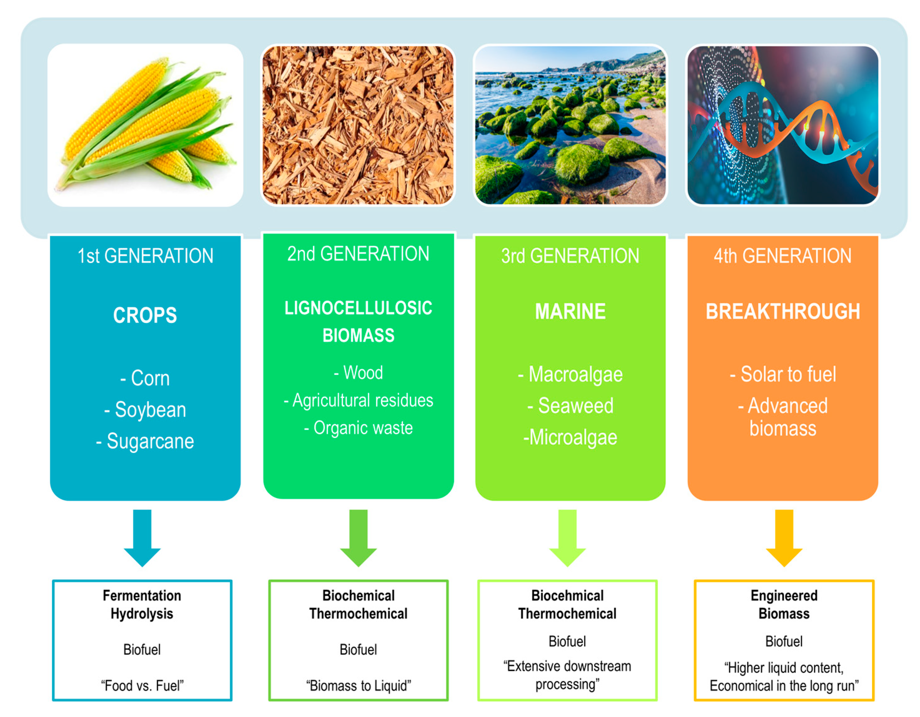 Molecules 26 00753 g002