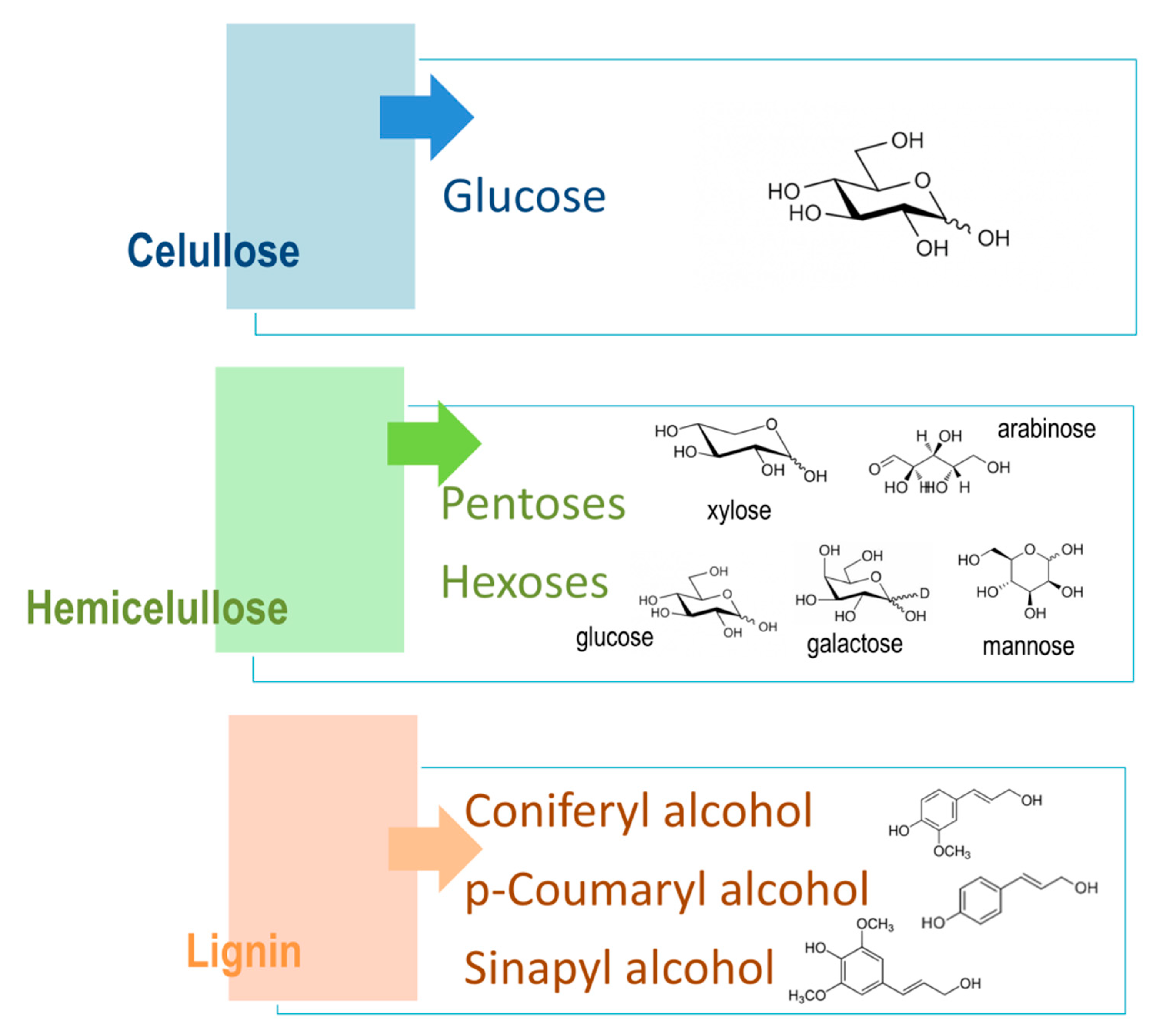 Molecules 26 00753 g004