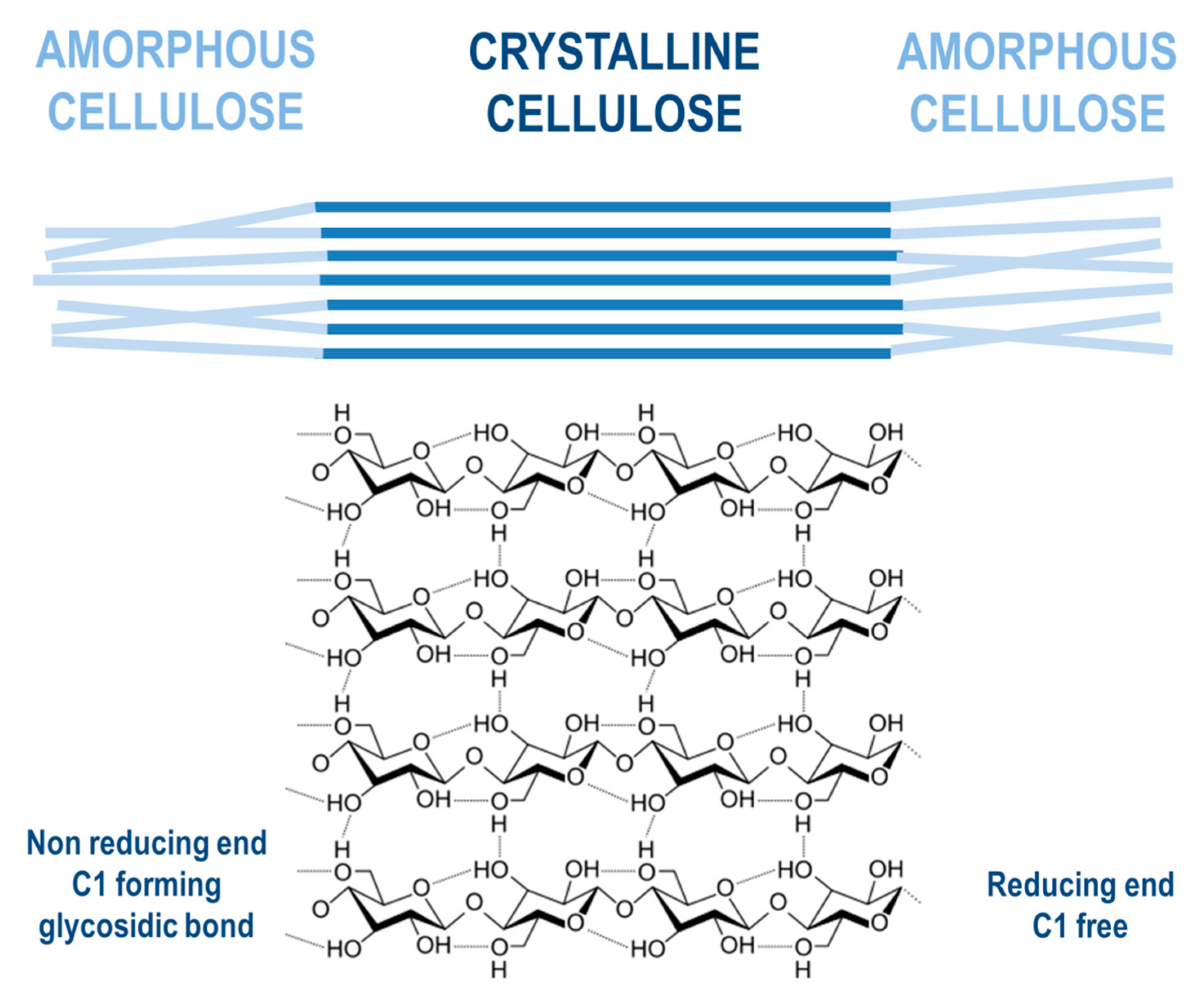 Molecules 26 00753 g005