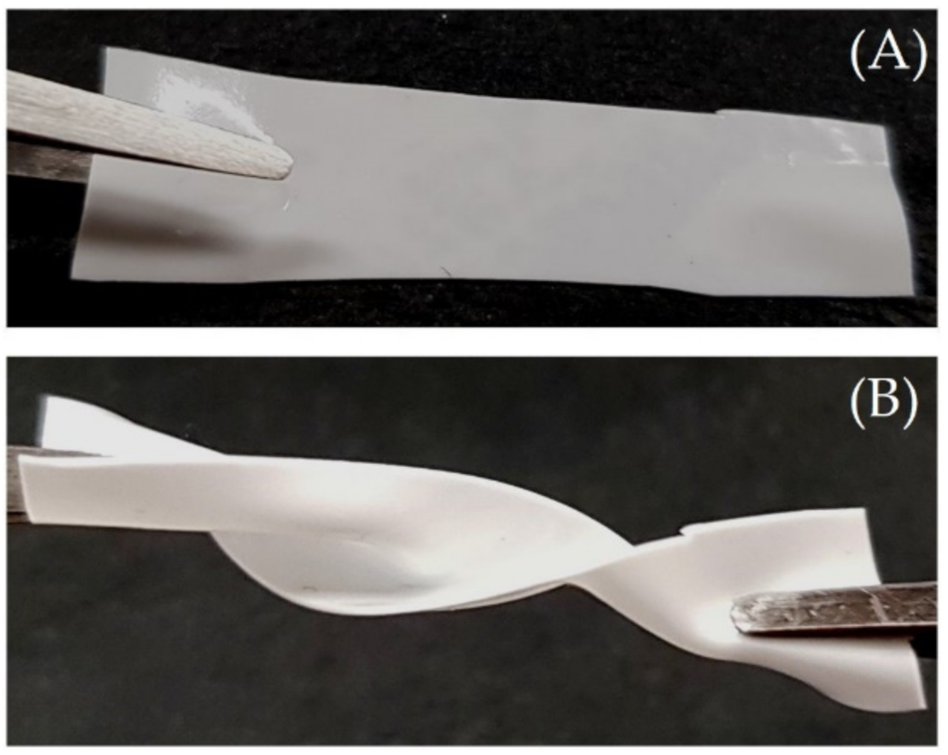 Molecules 26 00758 g001