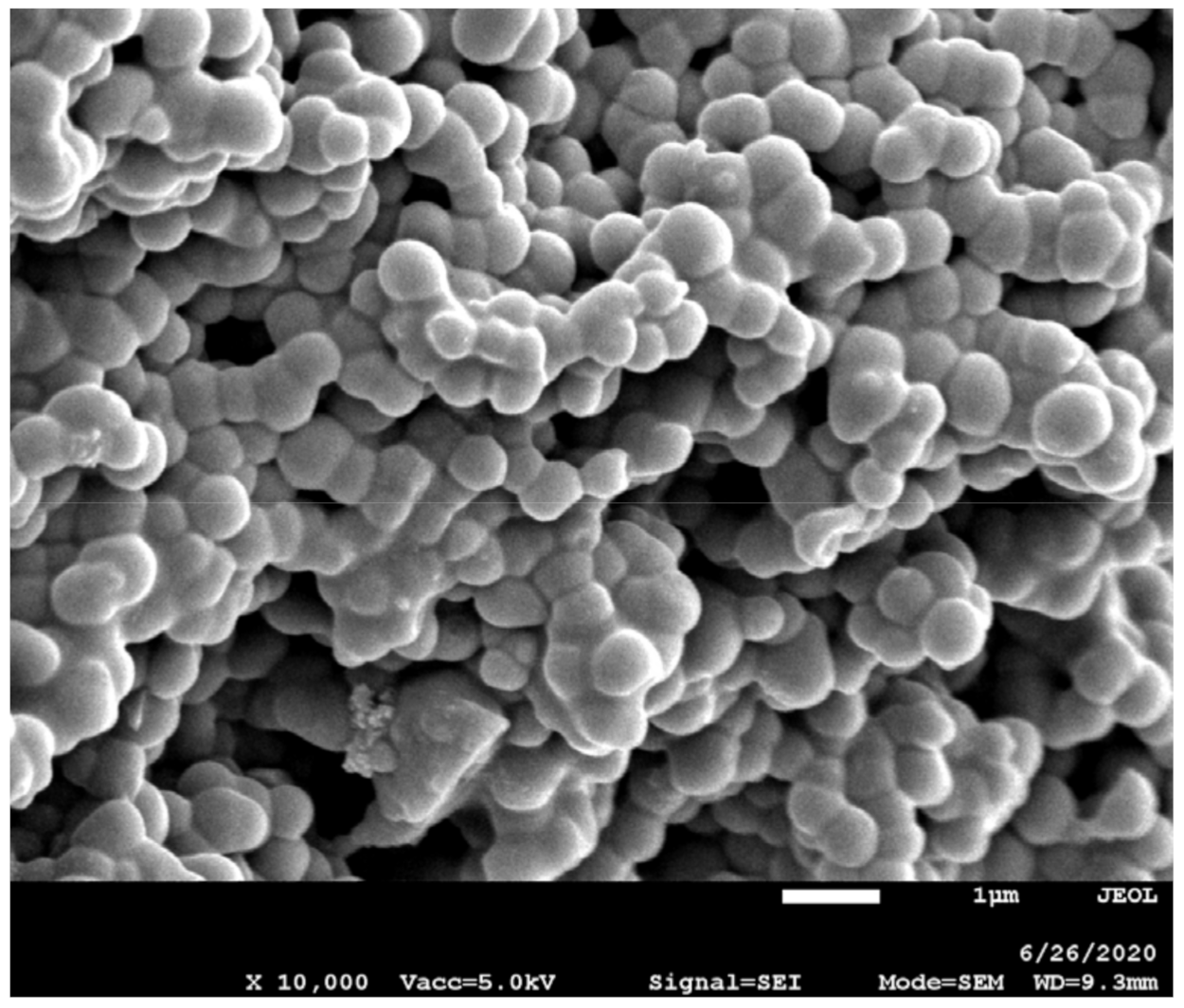 Molecules 26 00758 g004