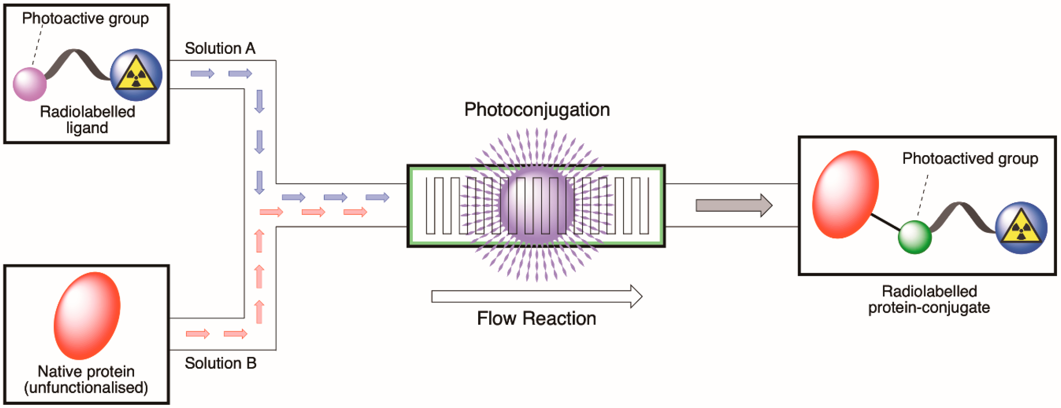 Molecules 26 00764 g001