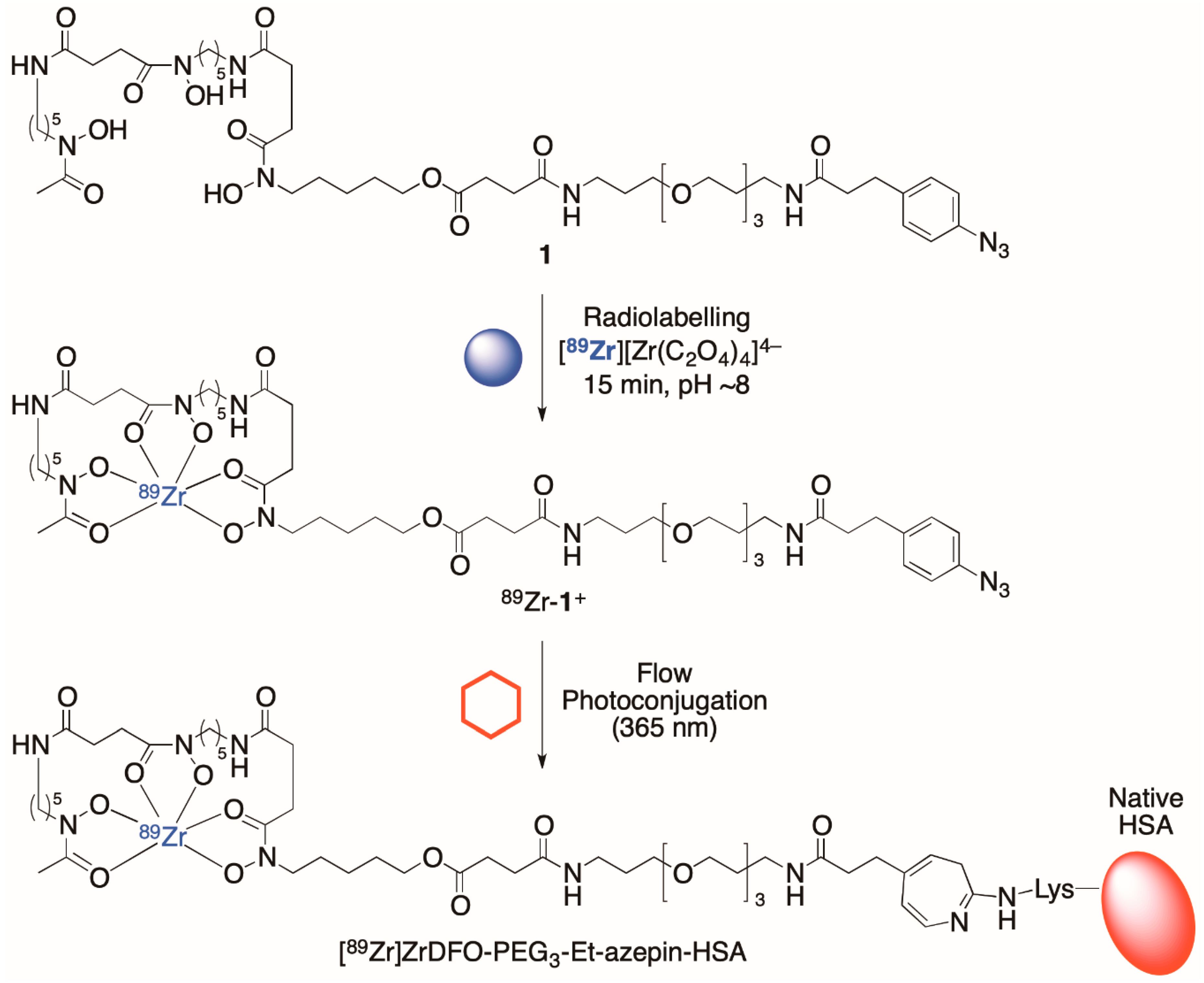Molecules 26 00764 sch002