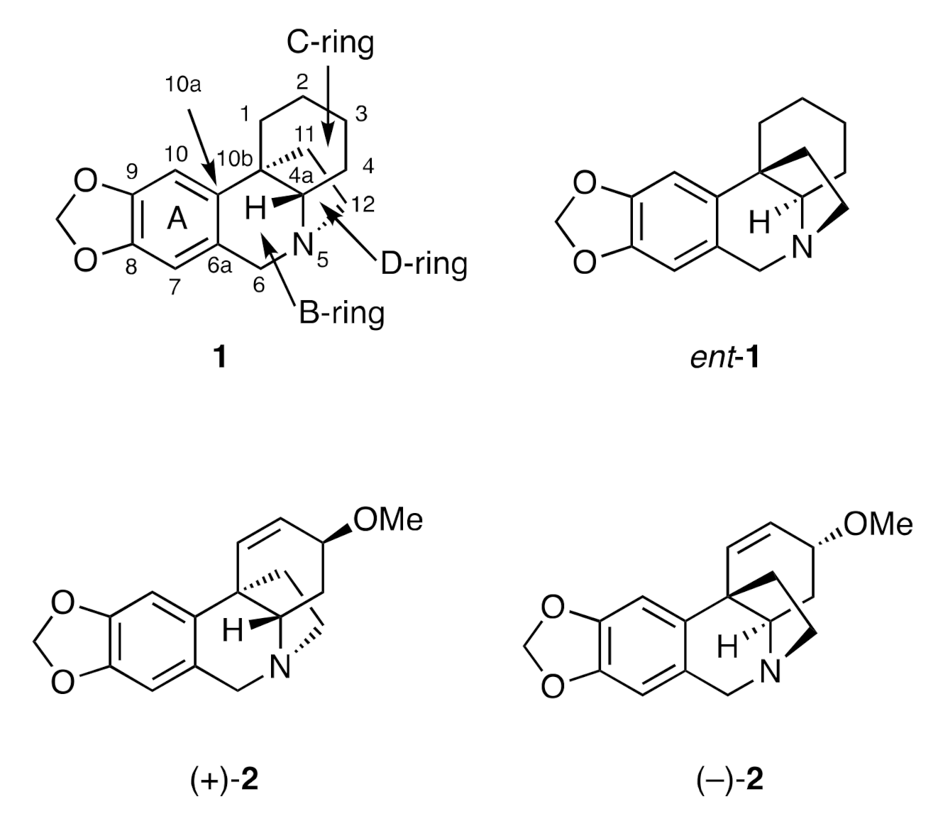 Molecules 26 00765 g001