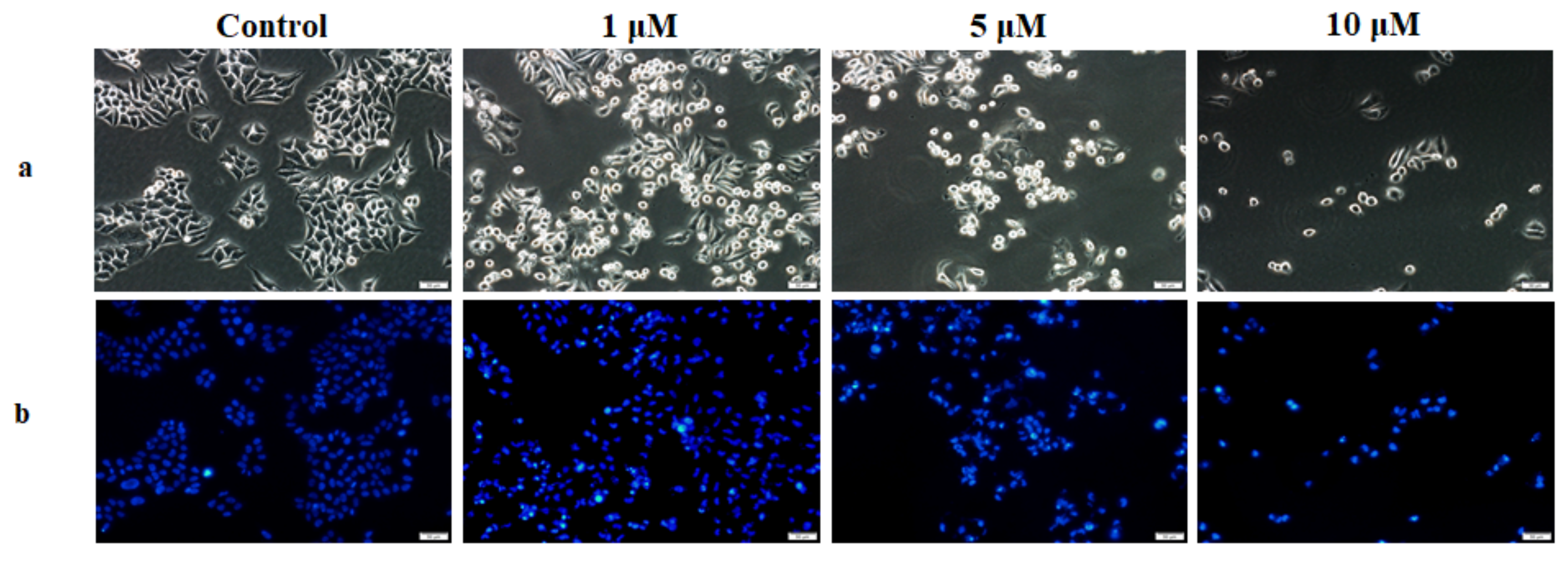 Molecules 26 00772 g001