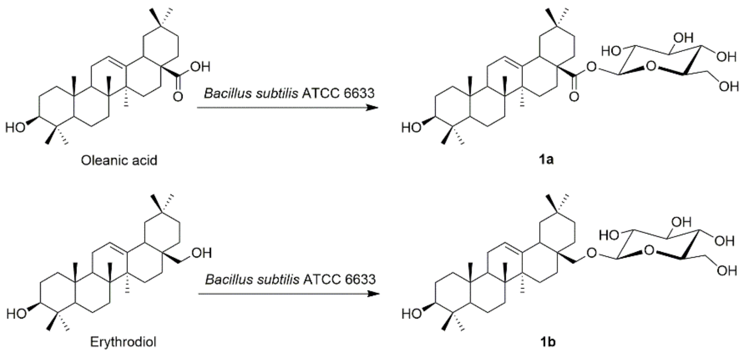 Molecules 26 00772 sch003