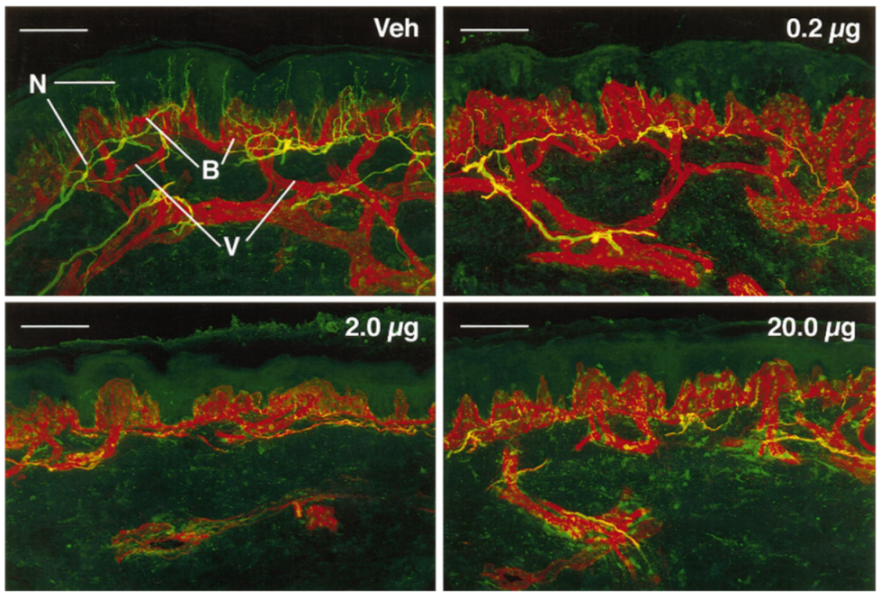 Molecules 26 00778 g001