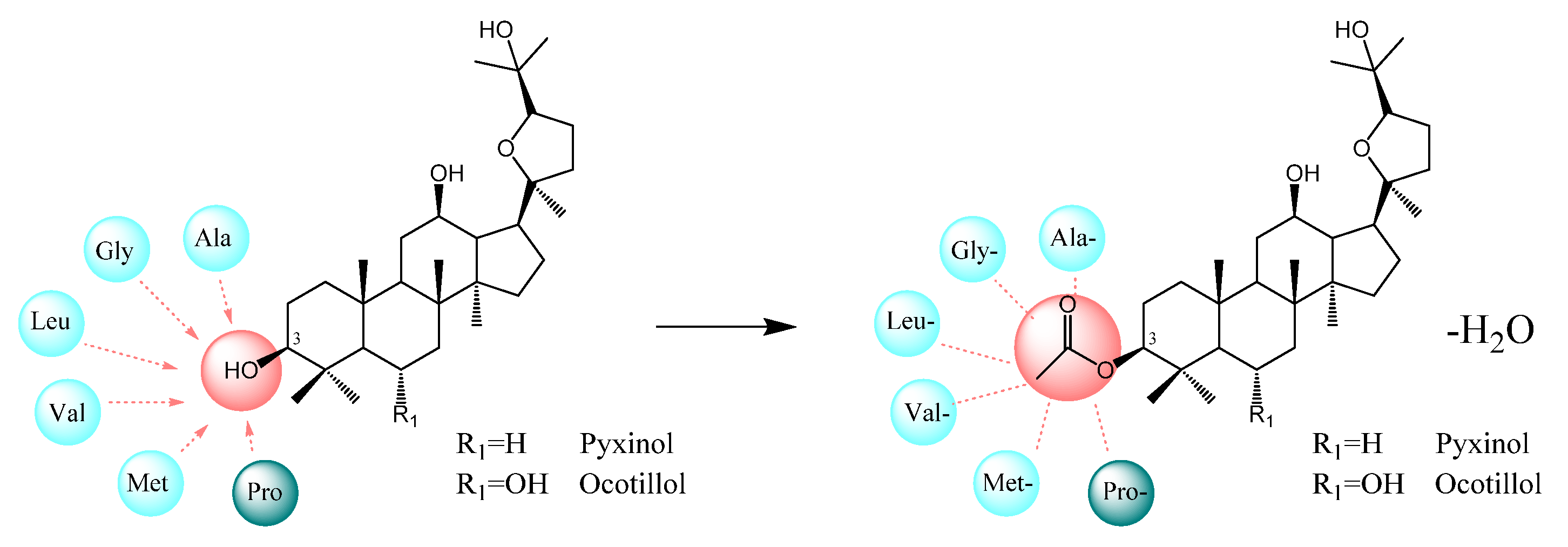 Molecules 26 00780 g001 Molecules 26 00780 g001