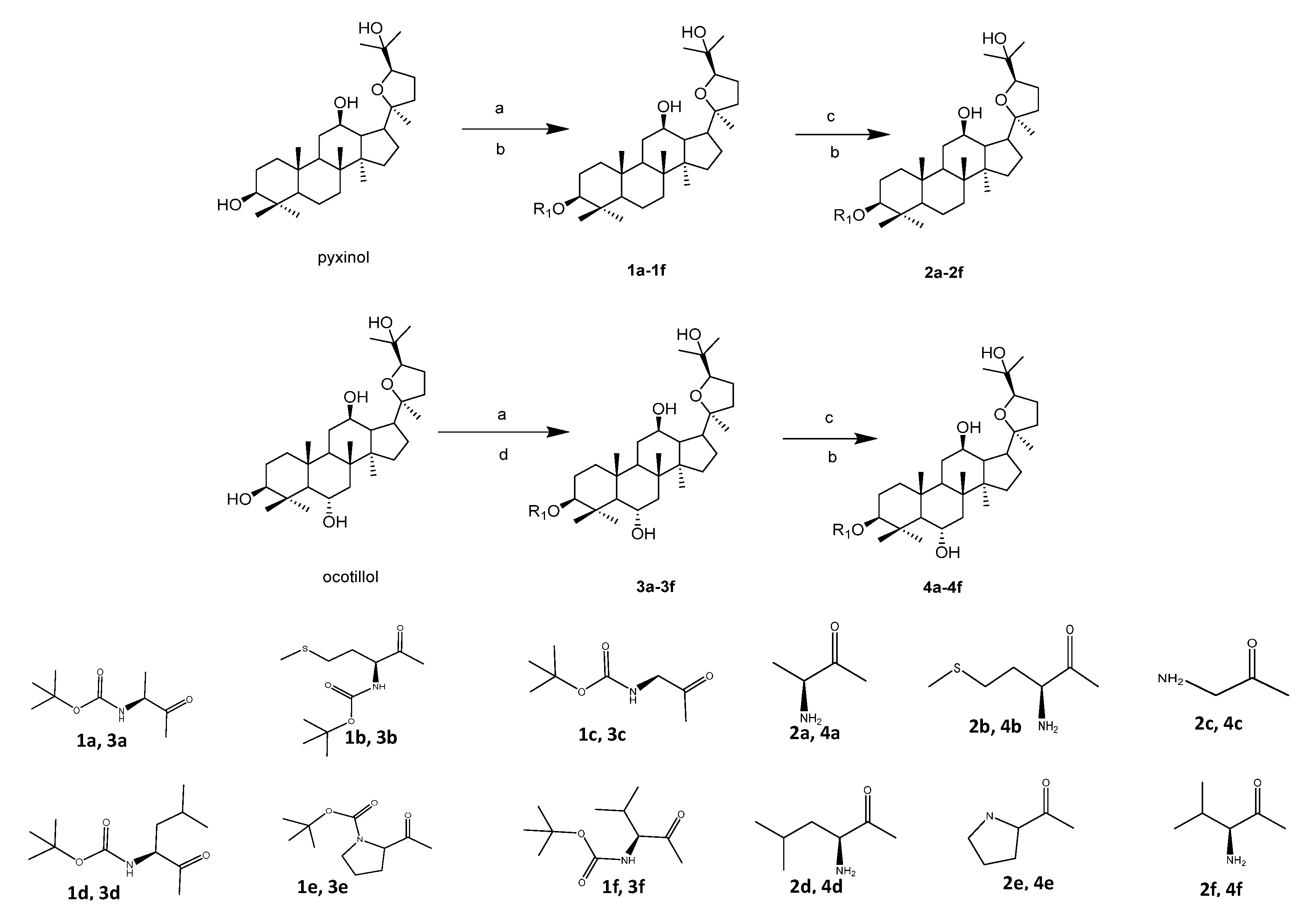 Molecules 26 00780 g002 Molecules 26 00780 g002