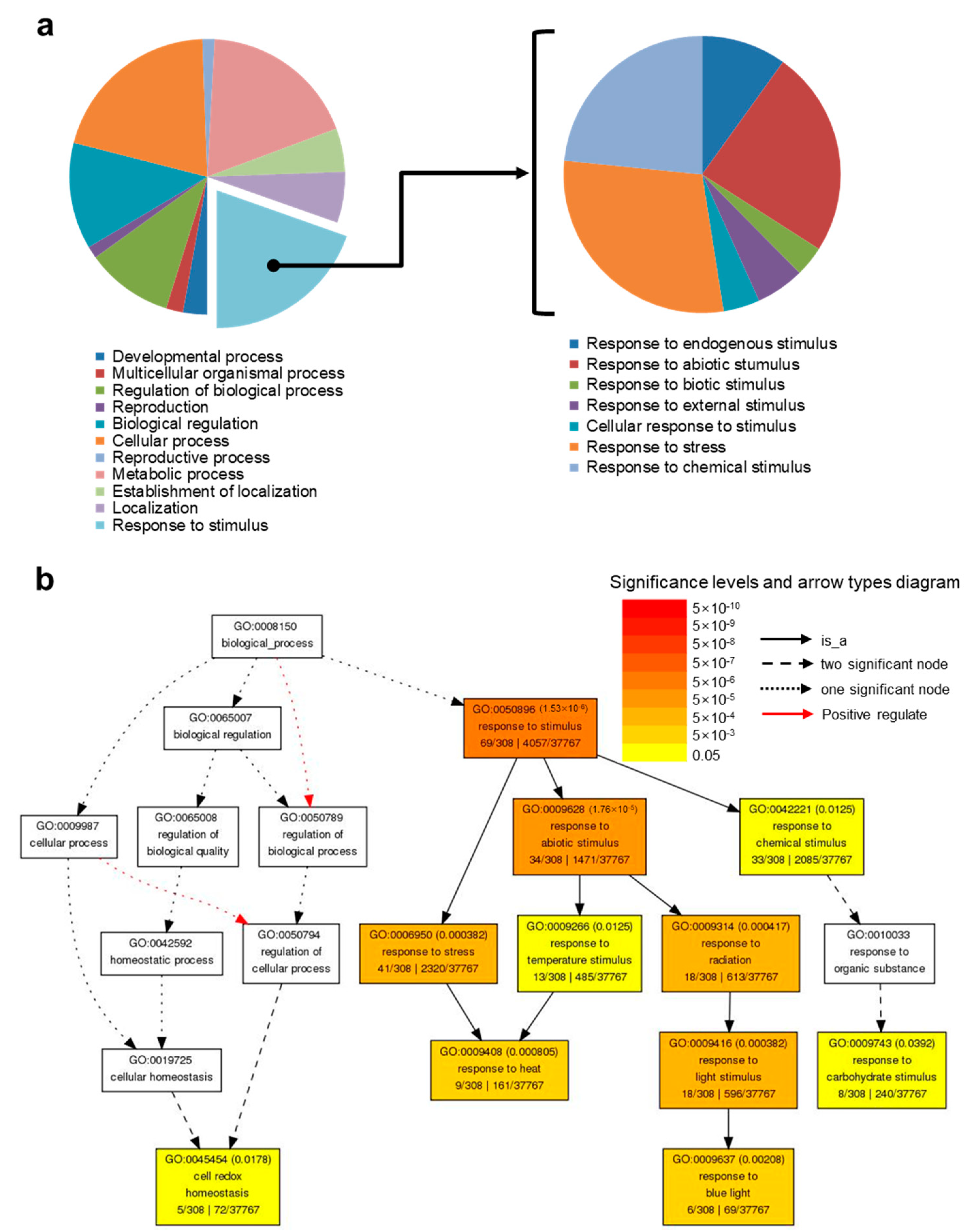 Molecules 26 00782 g002