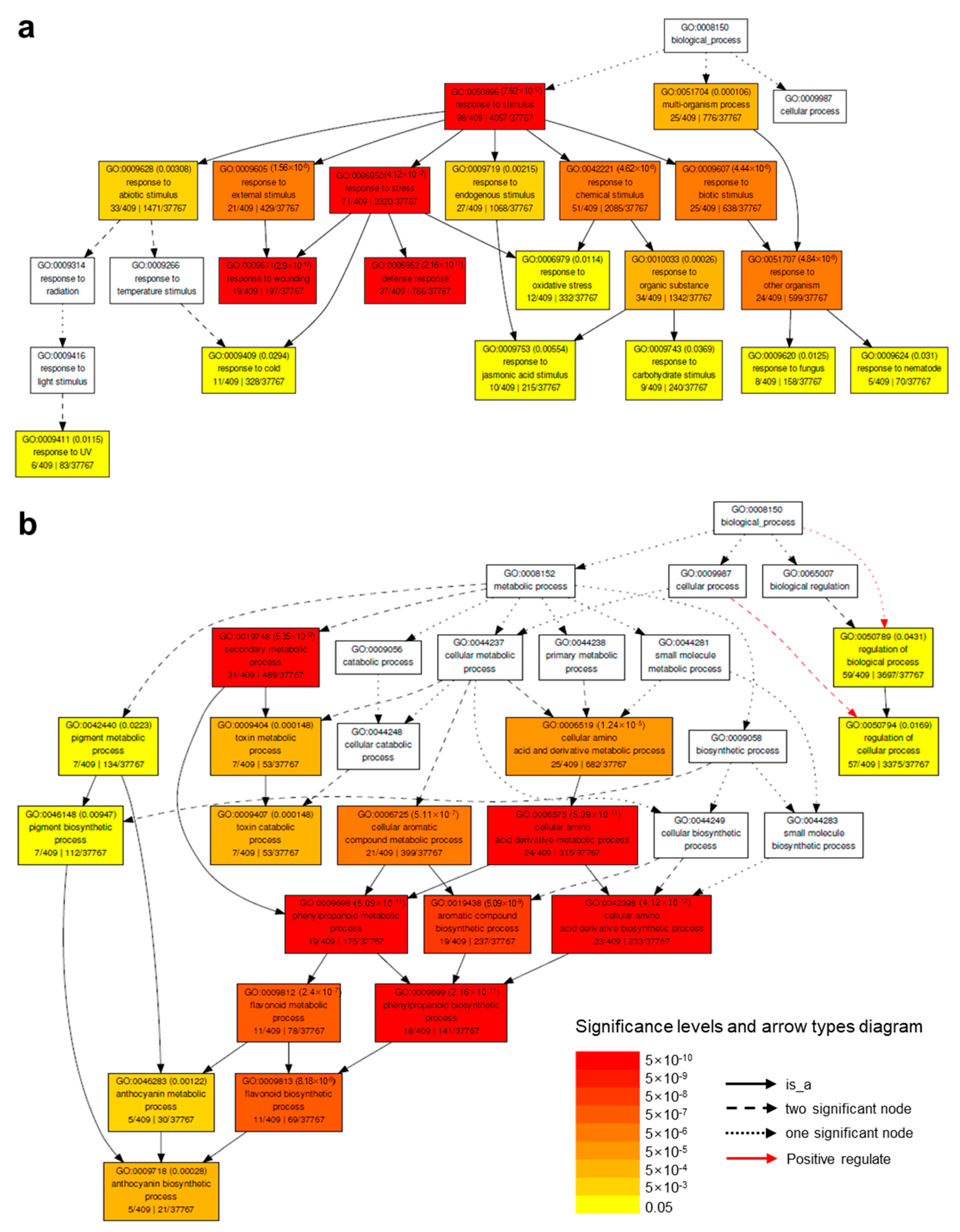 Molecules 26 00782 g003
