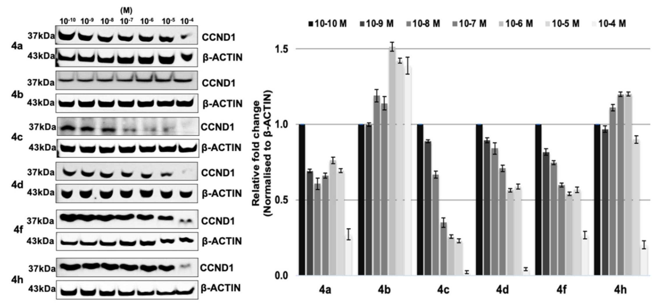 Molecules 26 00783 g004 Molecules 26 00783 g004