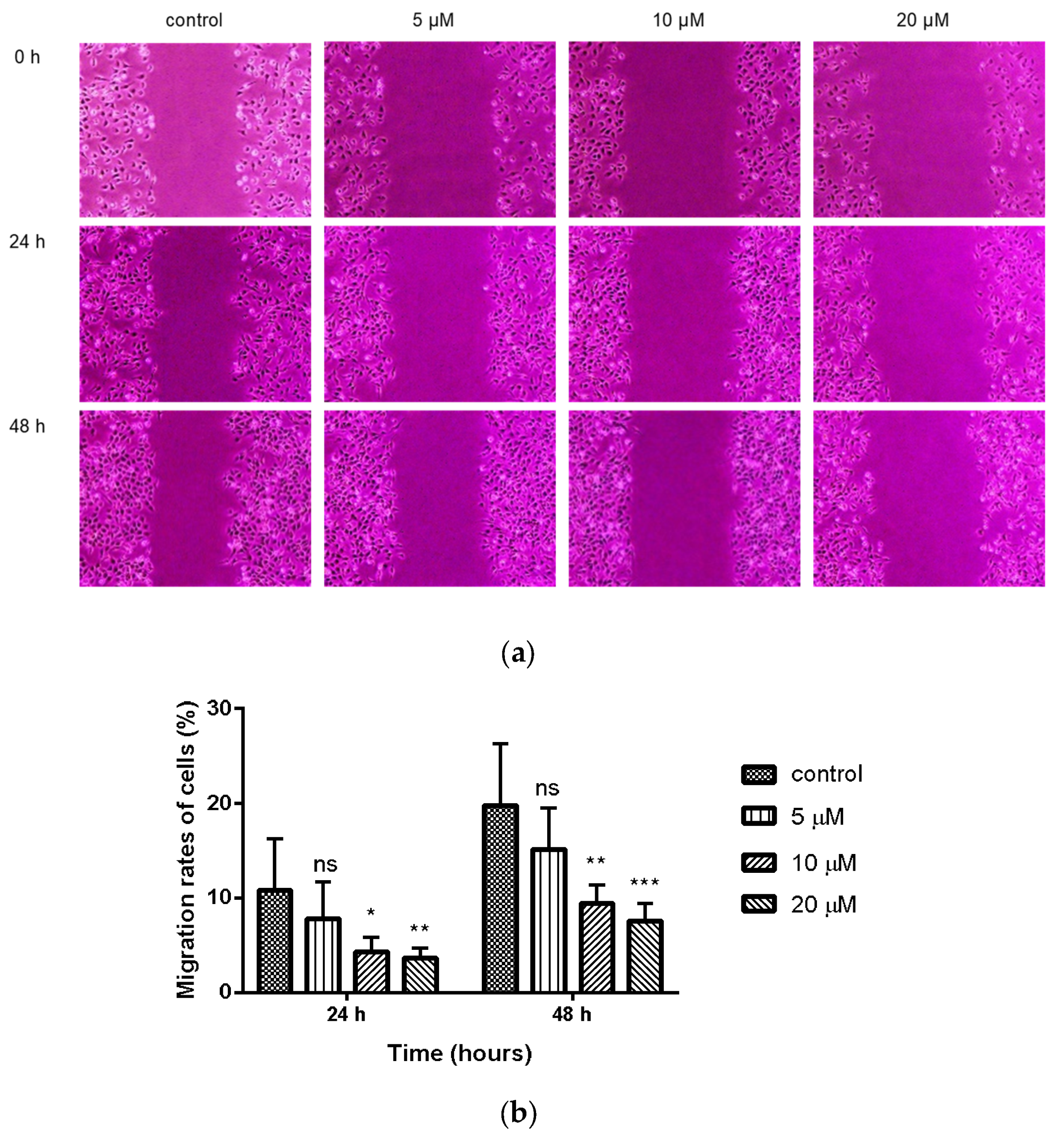 Molecules 26 00786 g002