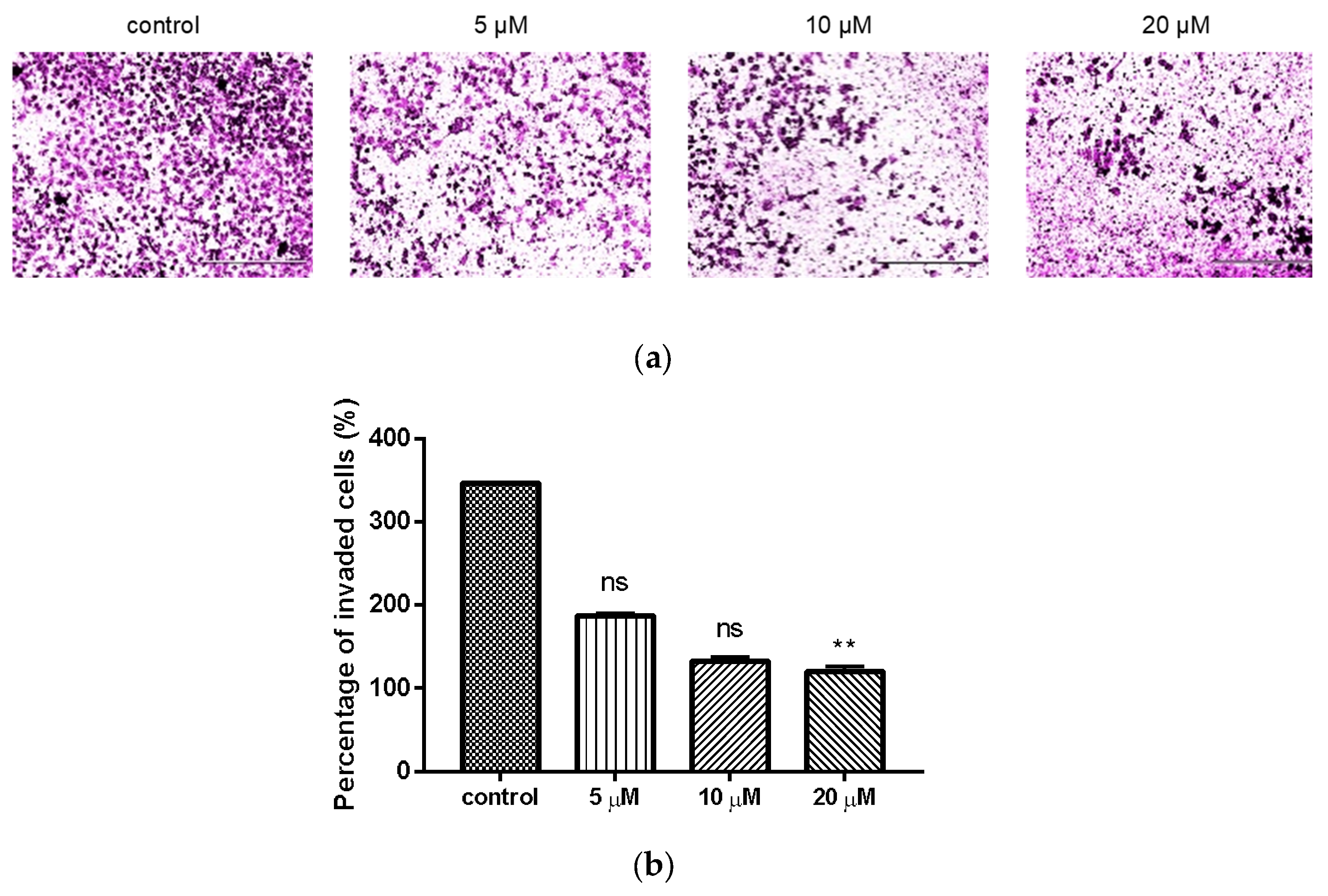 Molecules 26 00786 g003