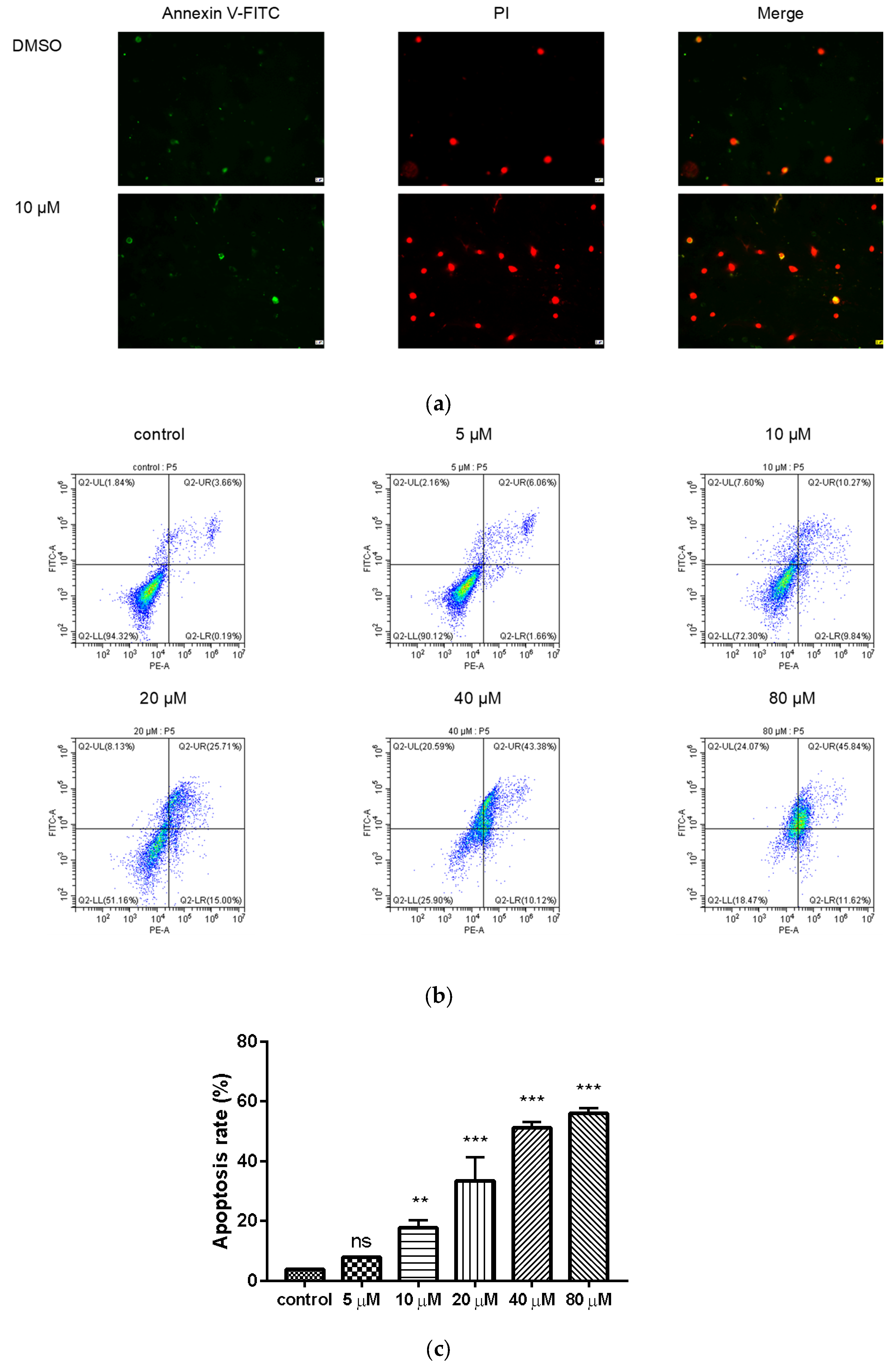 Molecules 26 00786 g004