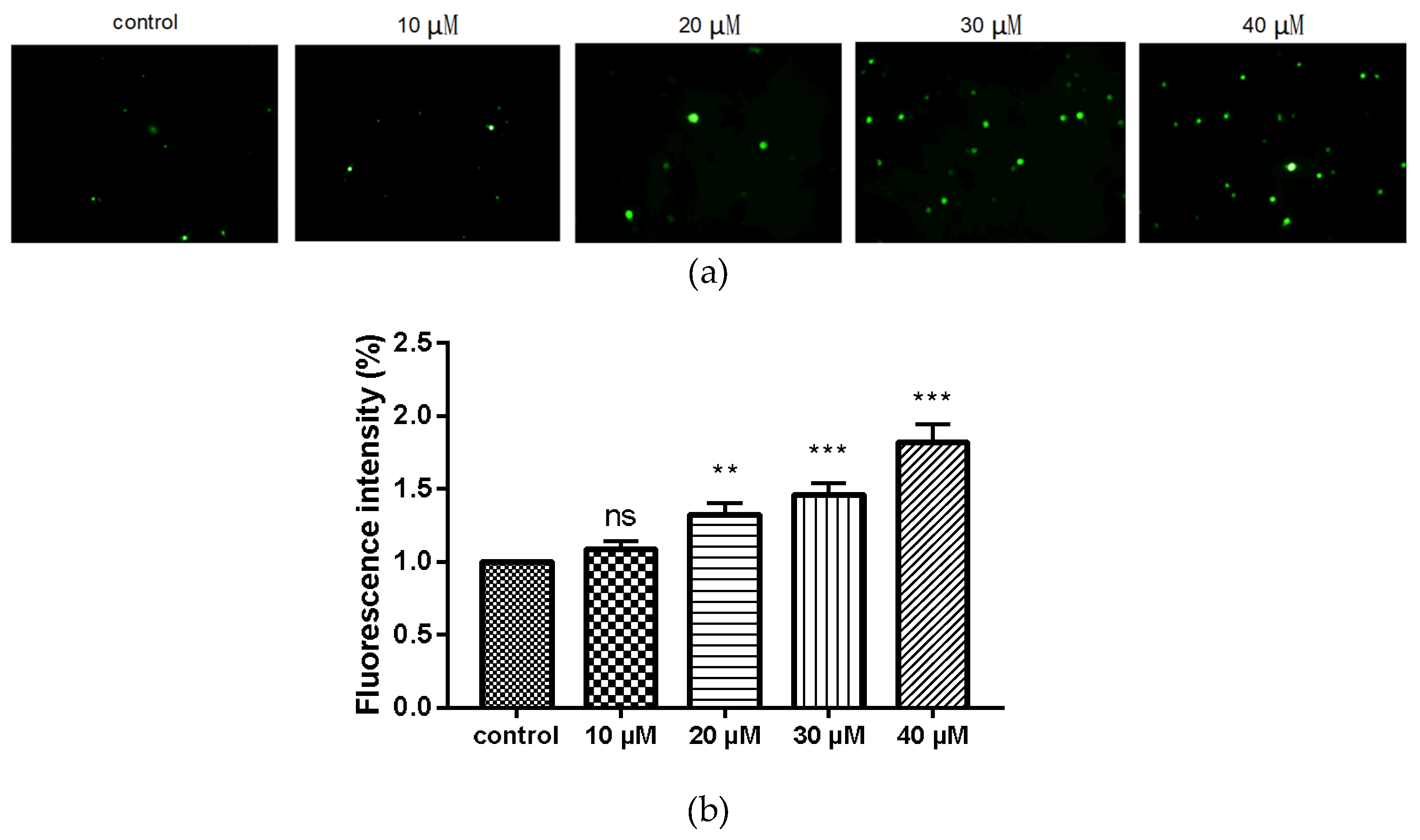 Molecules 26 00786 g005
