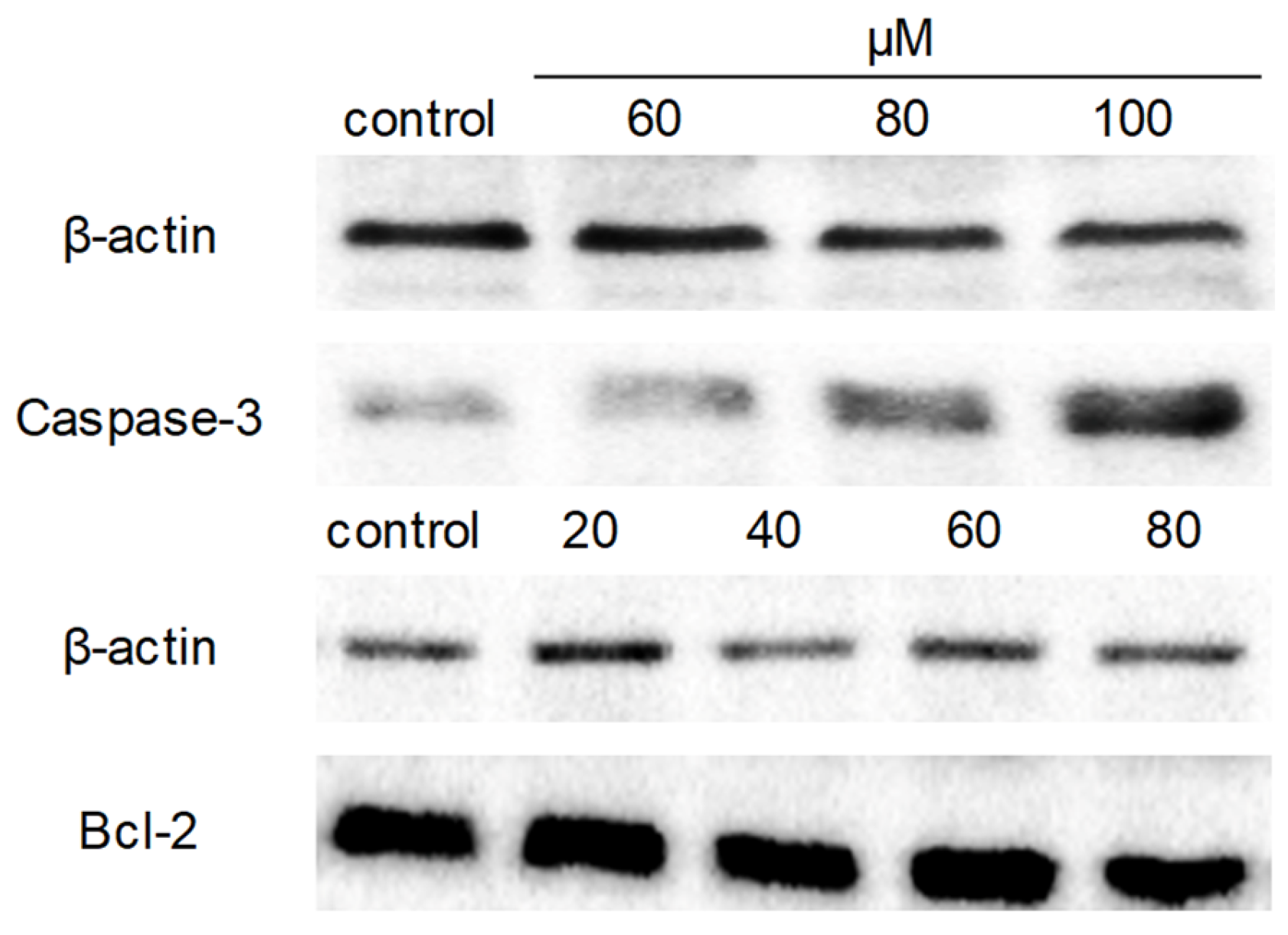 Molecules 26 00786 g006