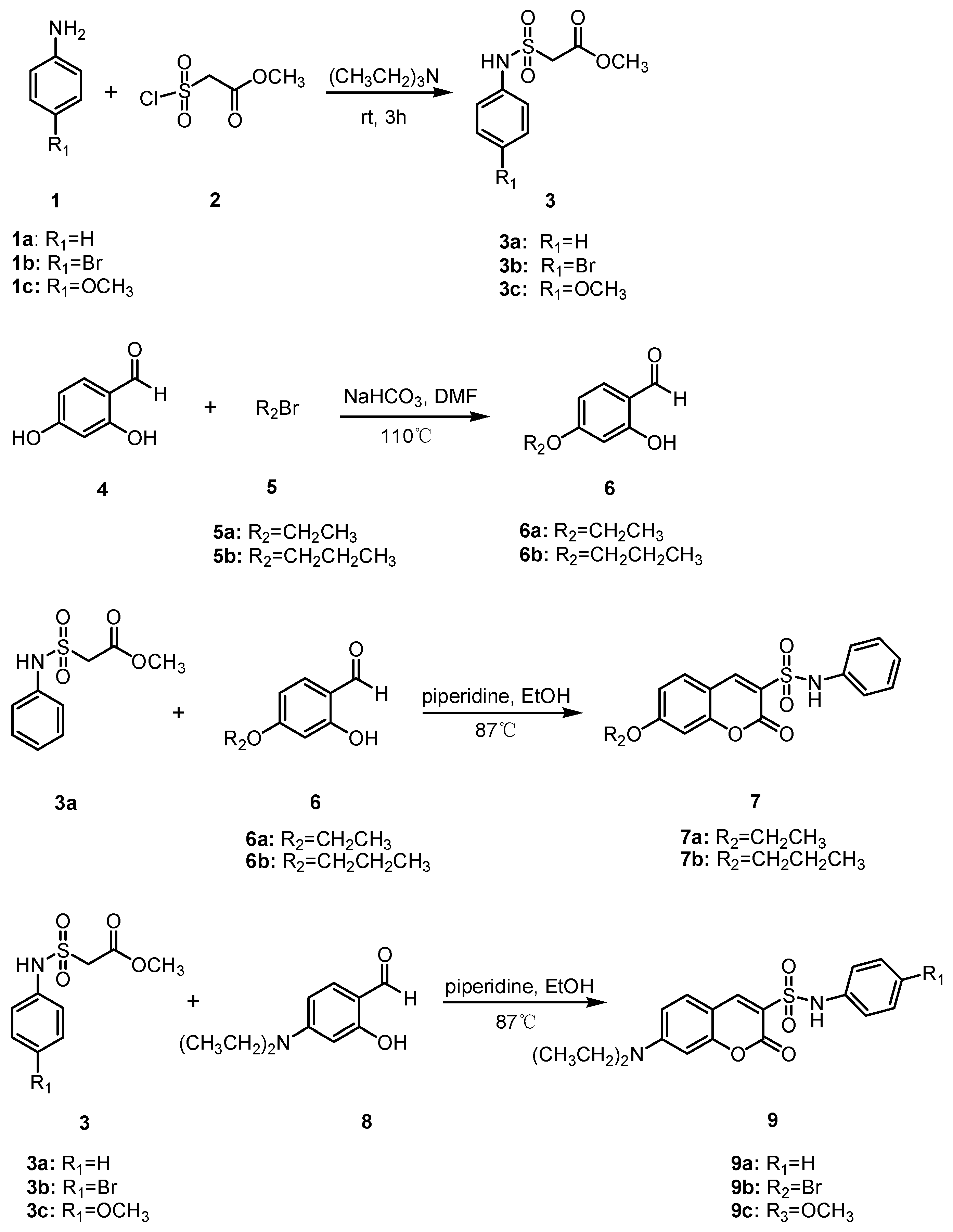 Molecules 26 00786 sch001