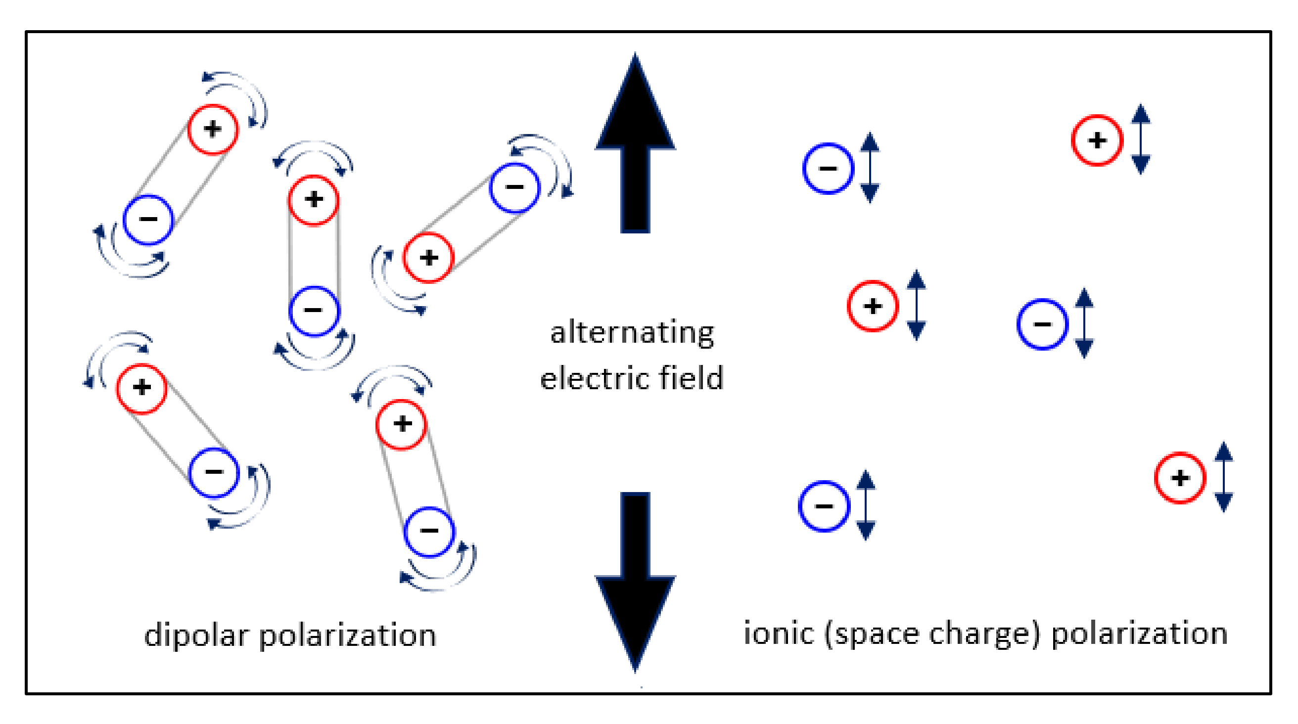 Molecules 26 00788 g001