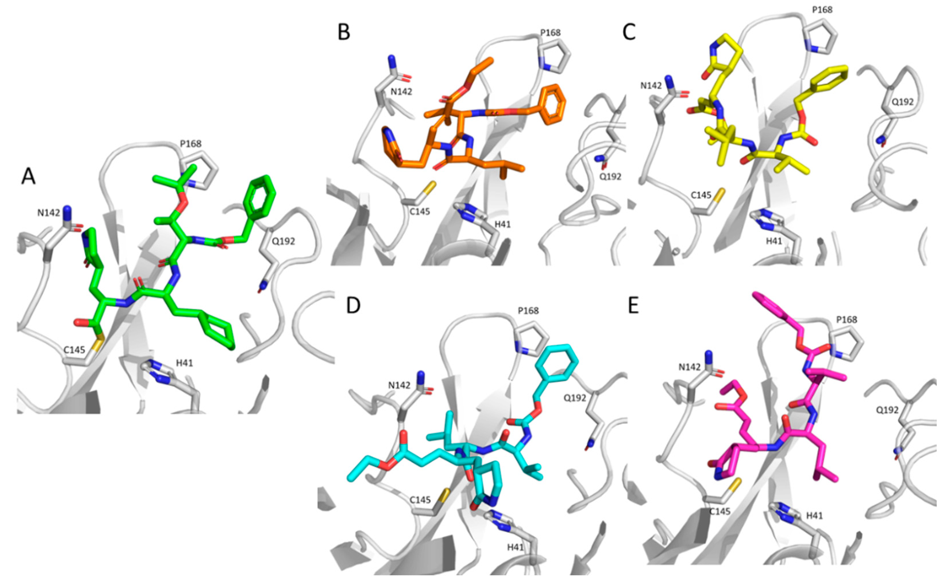 Molecules 26 00797 g003 Molecules 26 00797 g003