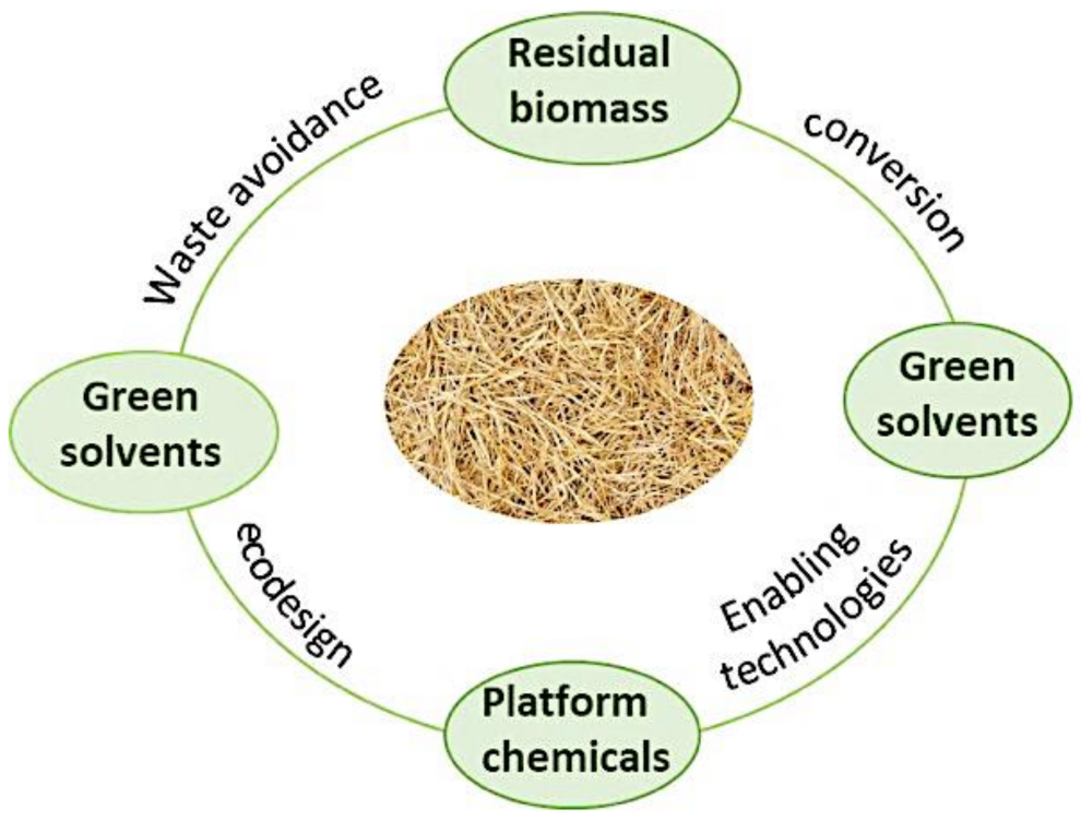 Molecules 26 00798 g001