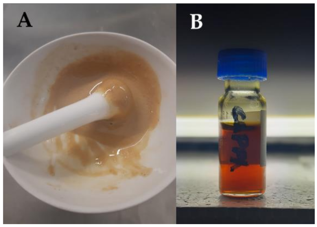 Molecules 26 00798 g009
