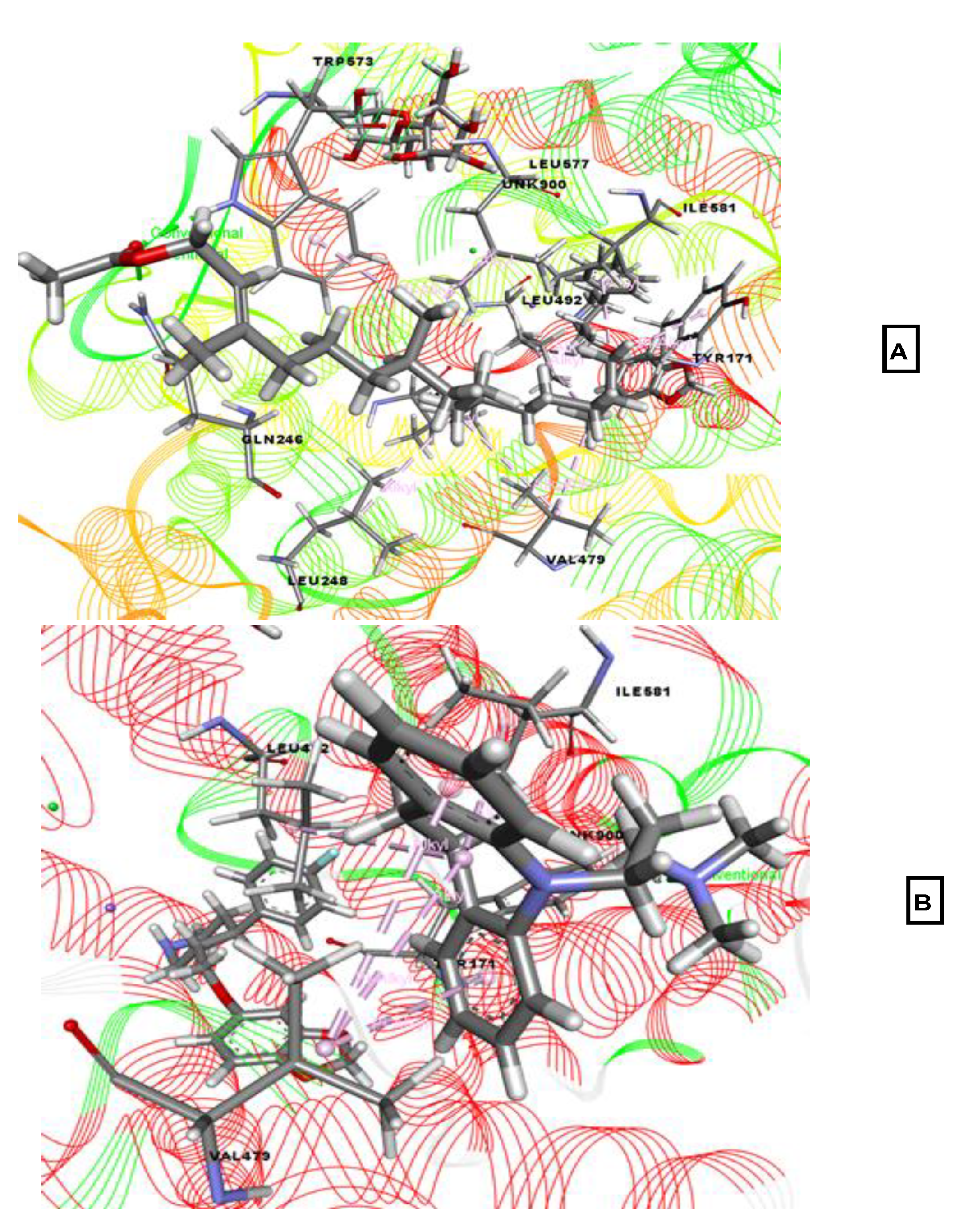 Molecules 26 00809 g003 Molecules 26 00809 g003