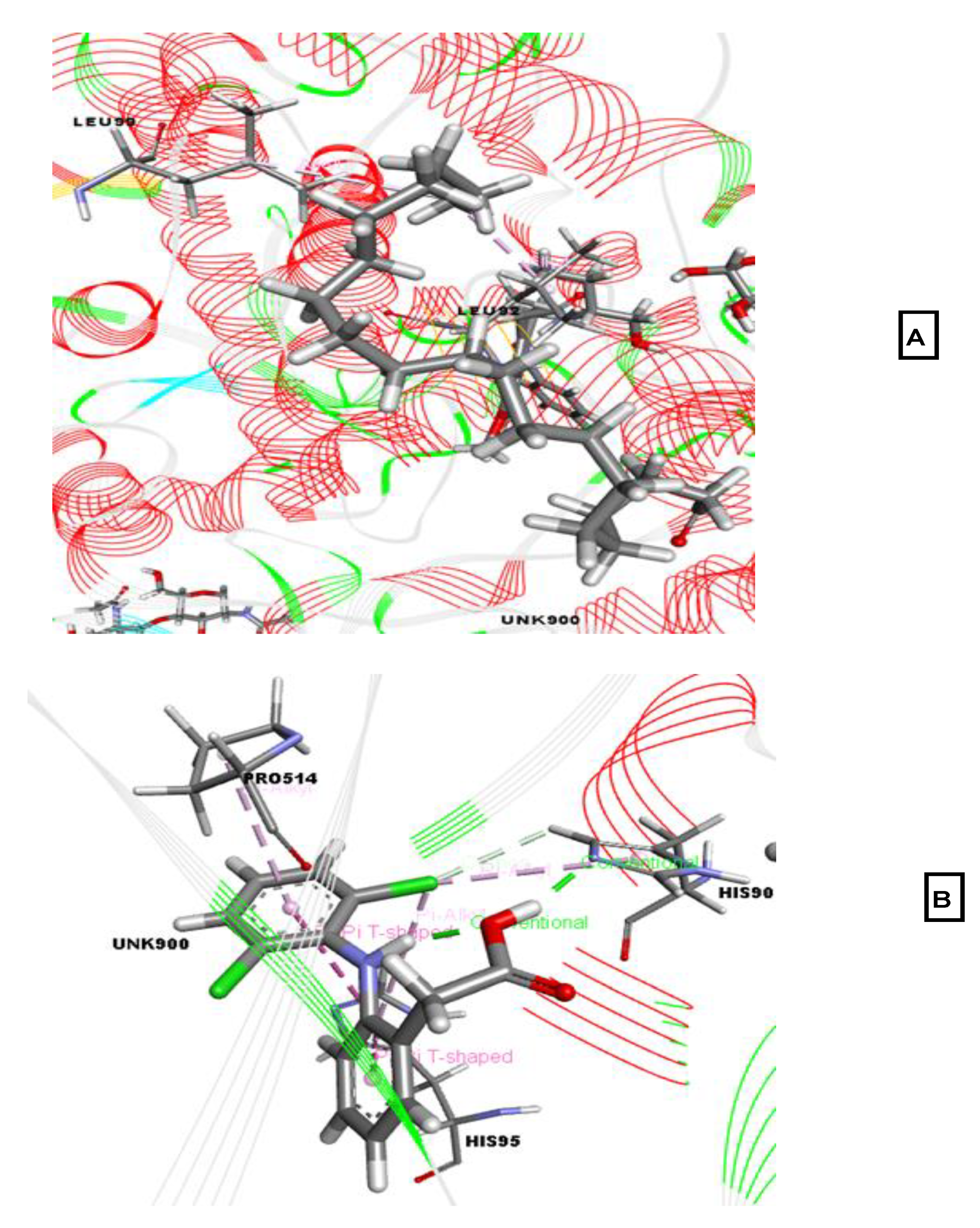 Molecules 26 00809 g005 Molecules 26 00809 g005
