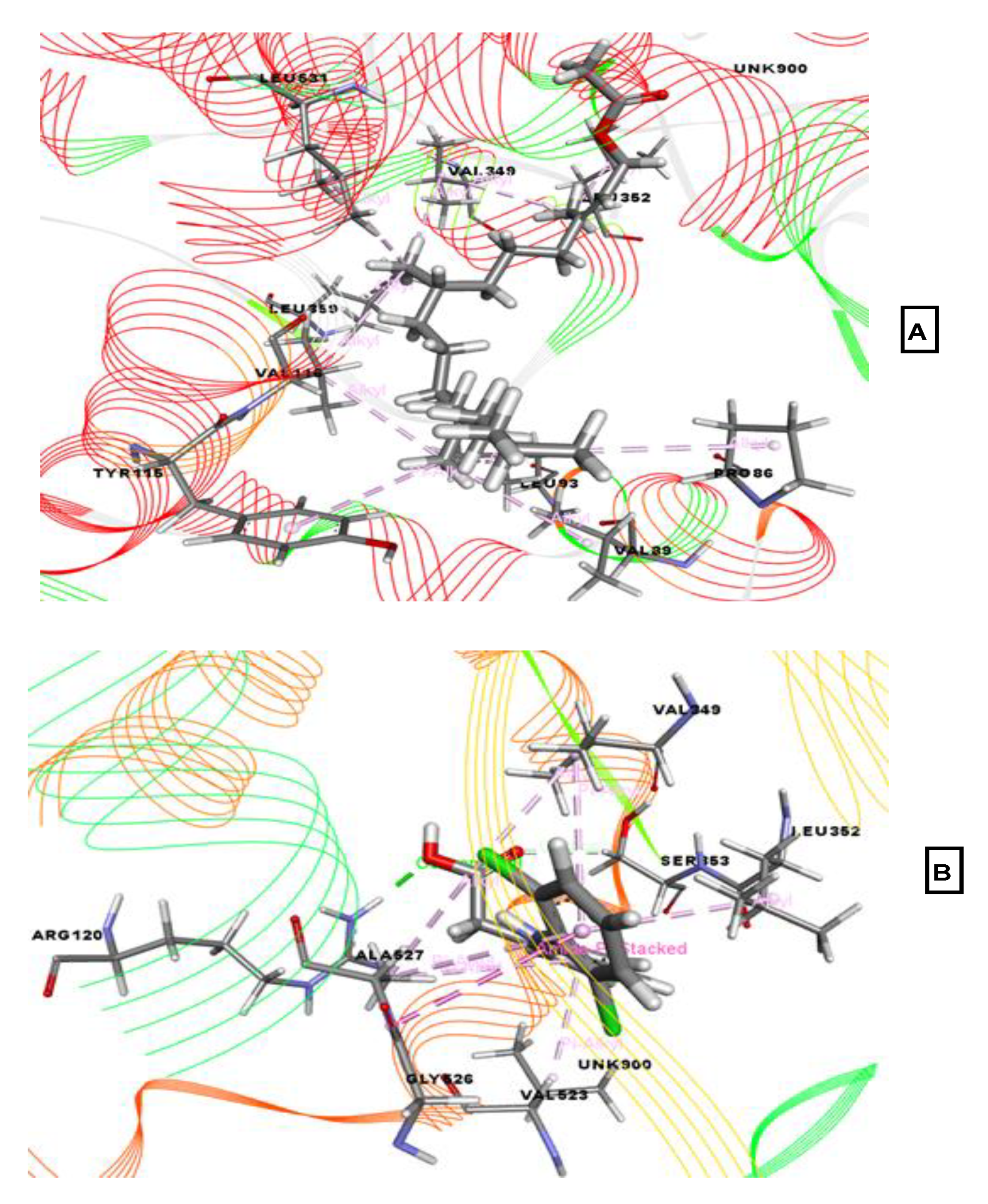 Molecules 26 00809 g006 Molecules 26 00809 g006