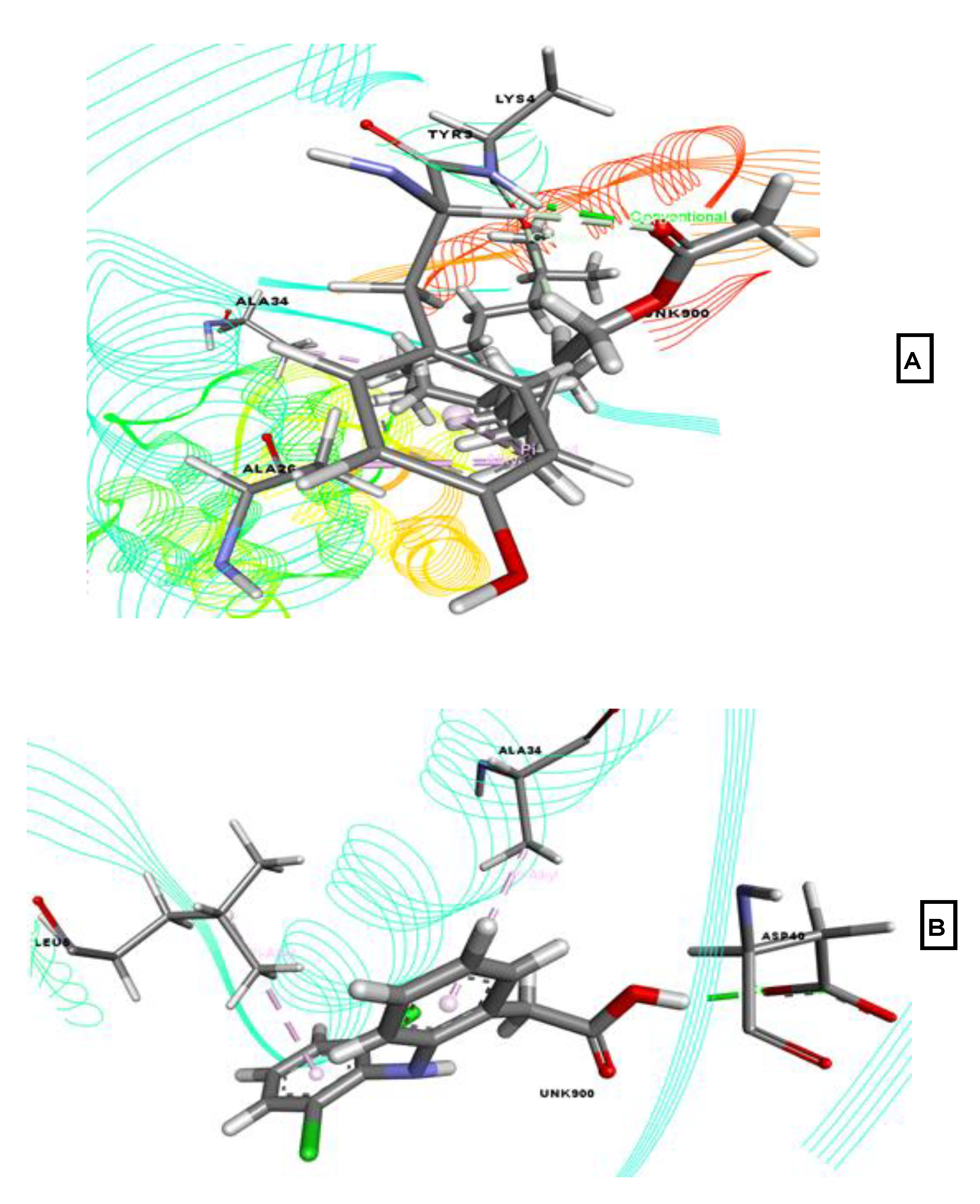 Molecules 26 00809 g007 Molecules 26 00809 g007