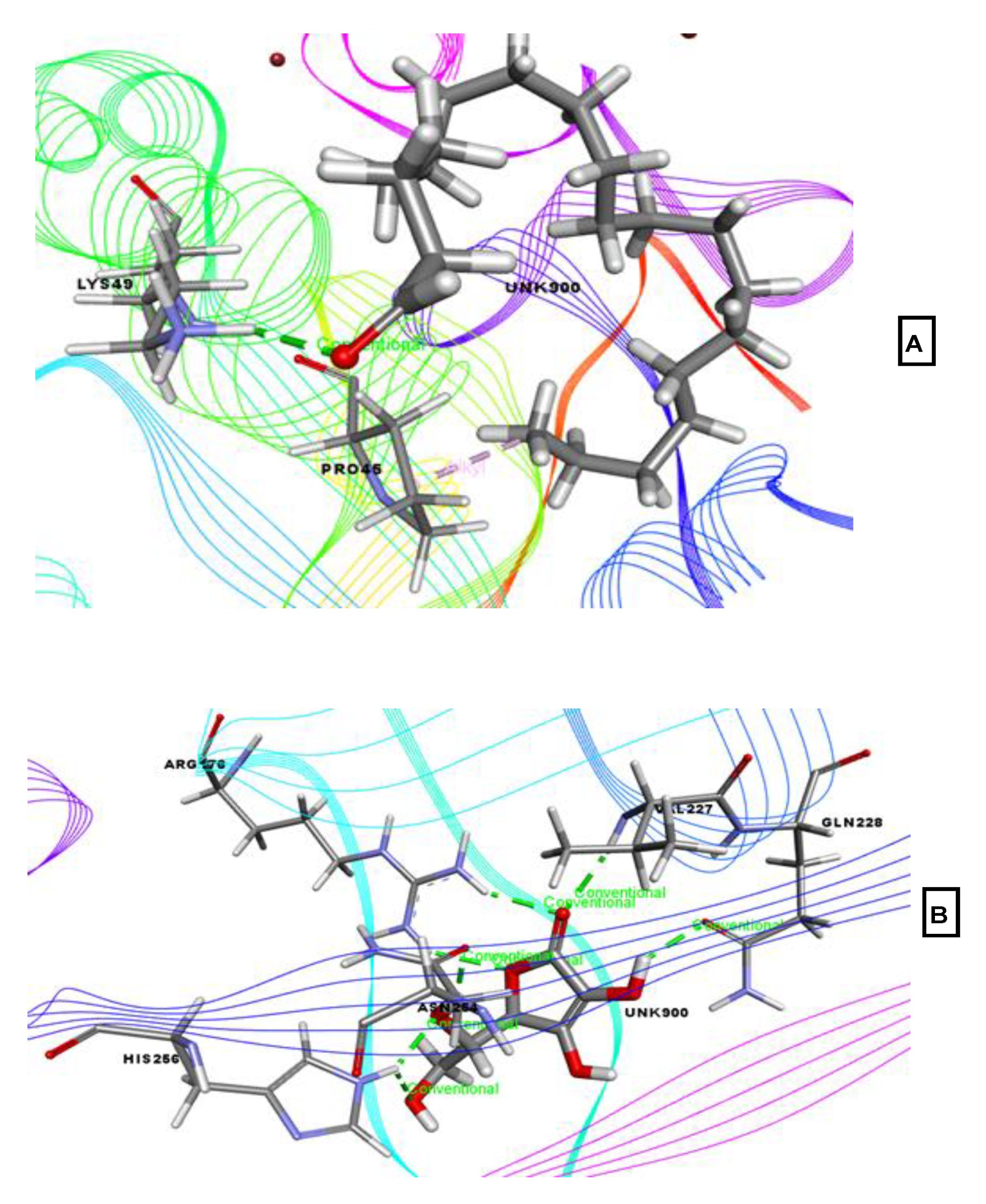 Molecules 26 00809 g008 Molecules 26 00809 g008